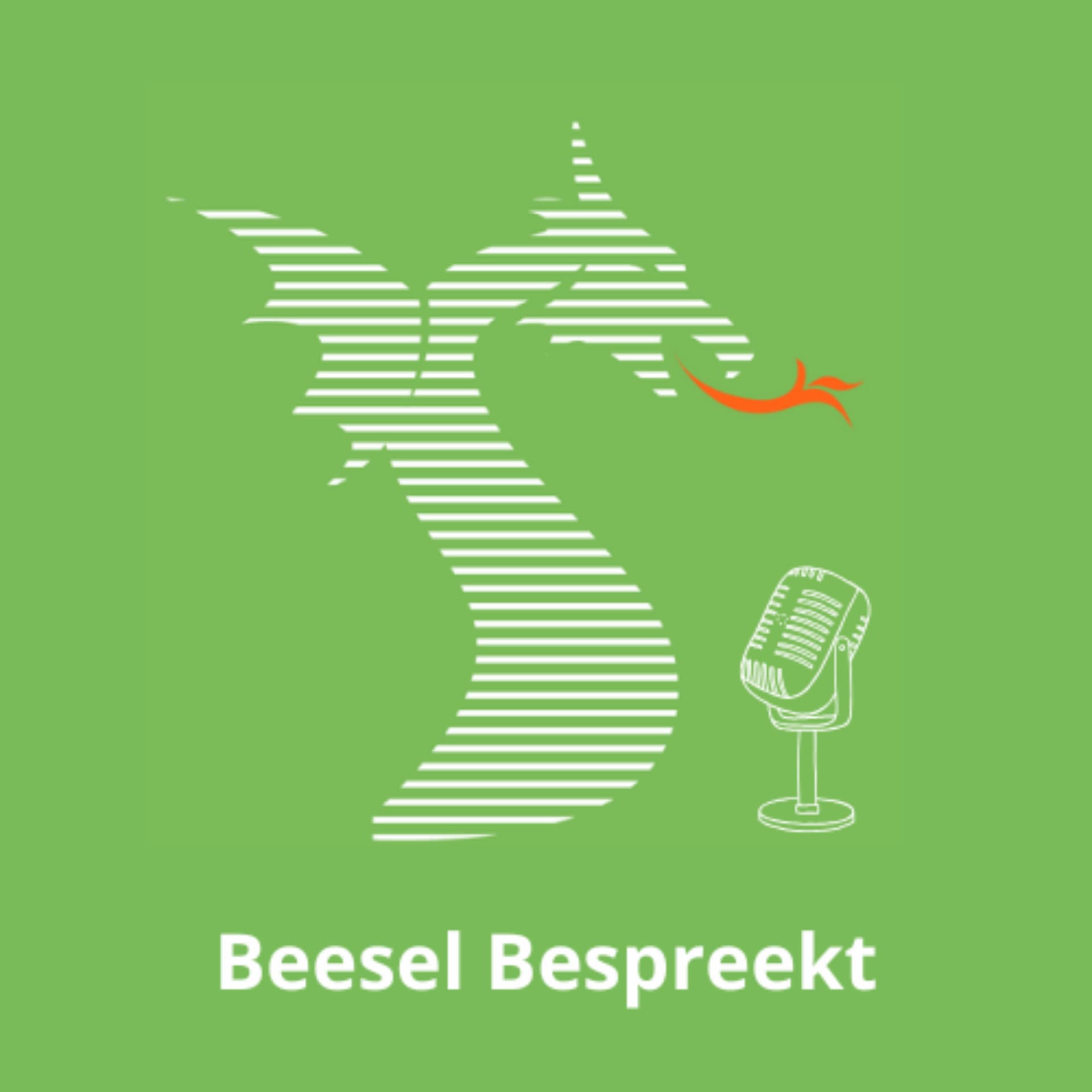 Beesel Bespreekt | P&M - Podcasts