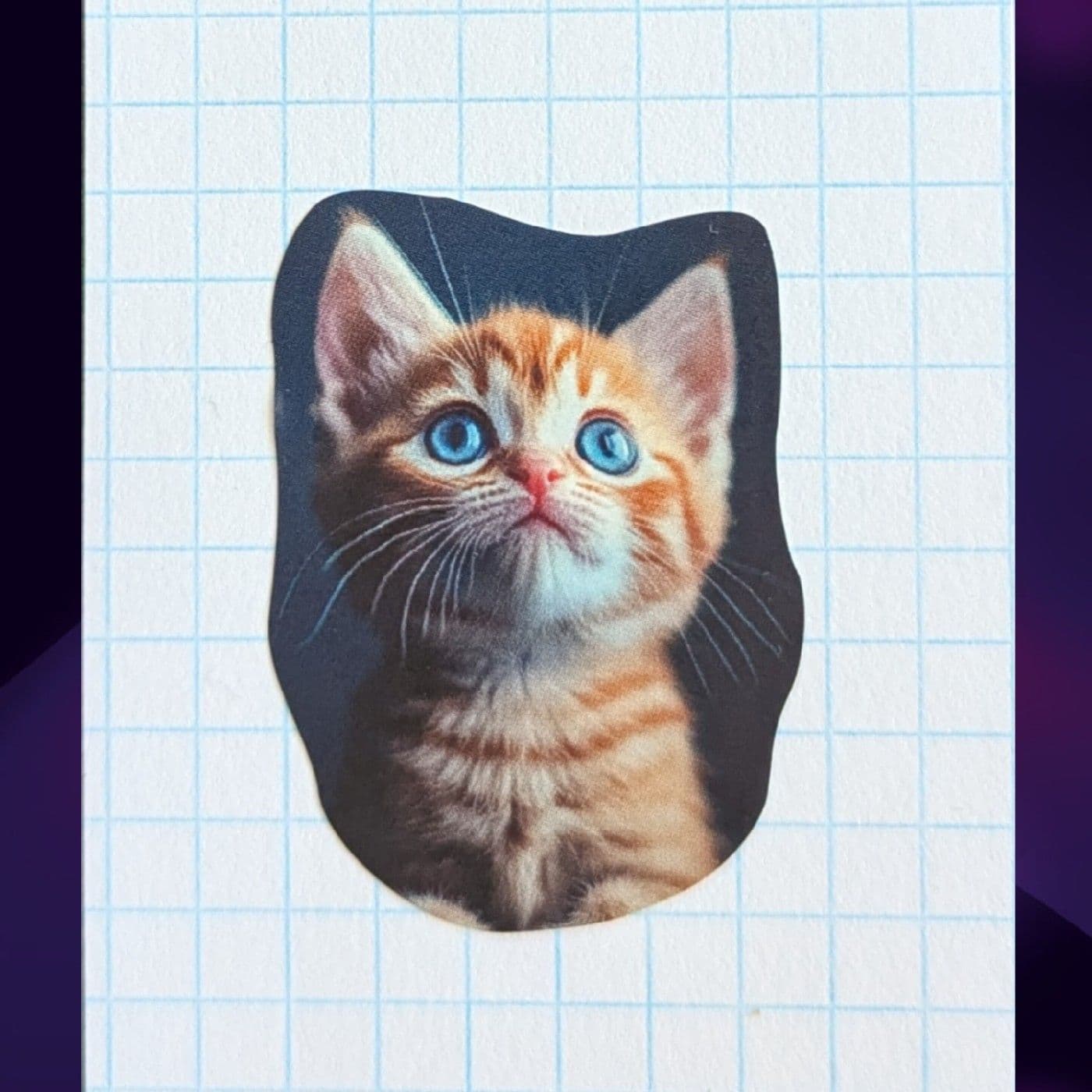 Warrior Cats mit Eichhornsee🐿️ - Podcast
