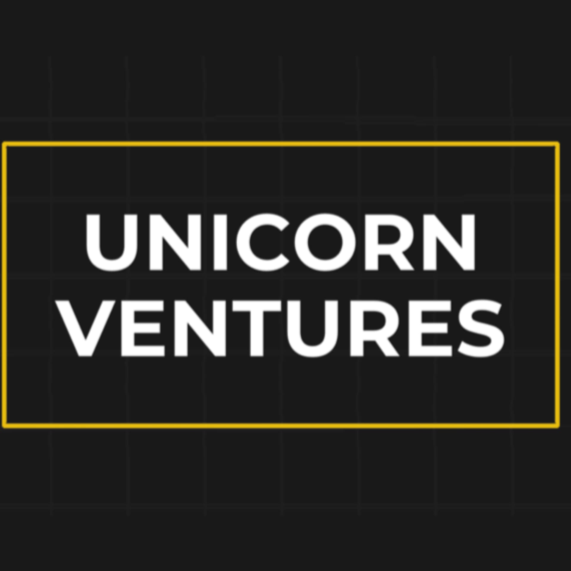 Unicorn Ventures Podcast with Sean 'The AI Guy' - Podcasts