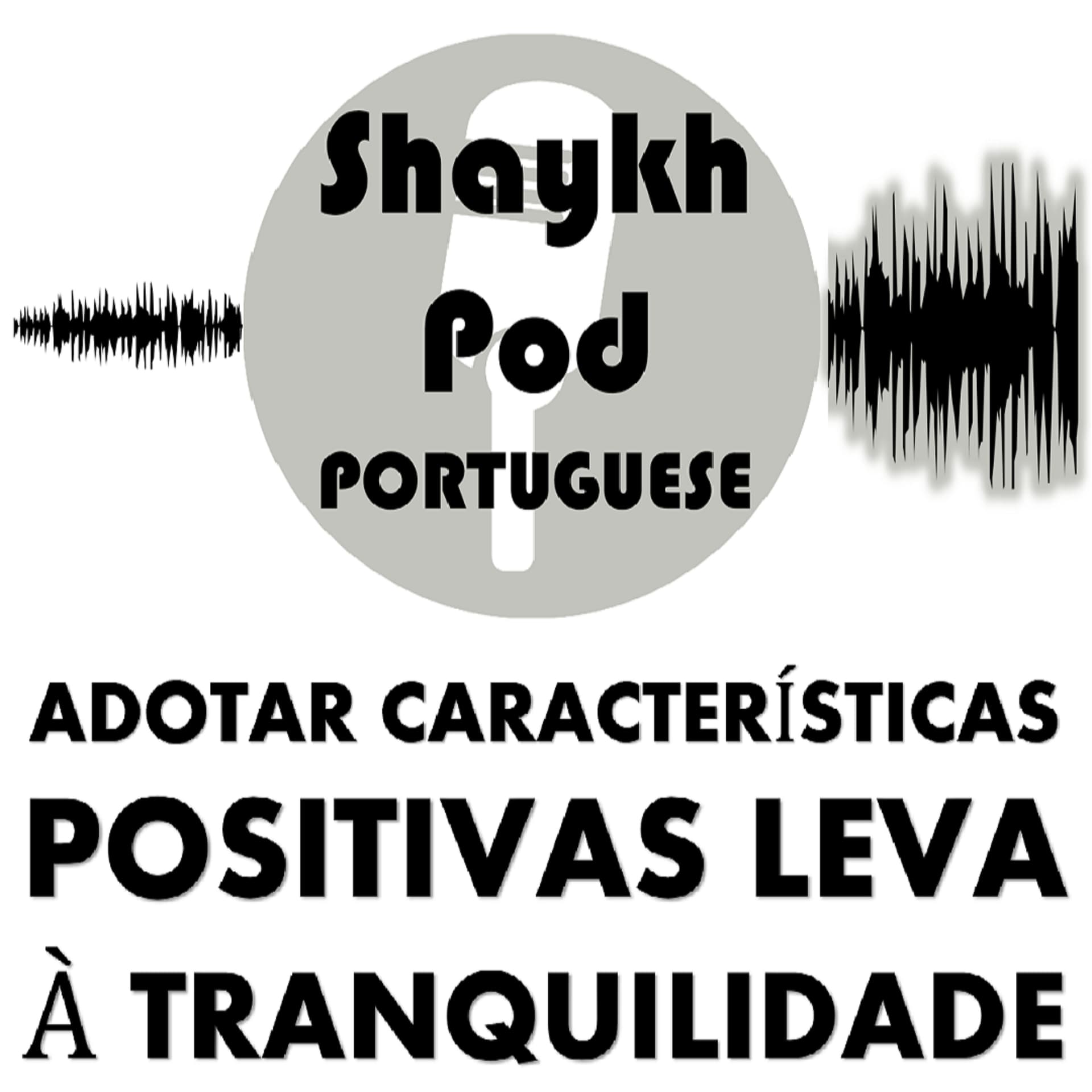 ShaykhPod - Um Comentário Corânico Resumido: O Caminho da Paz de Espírito - Podcasts