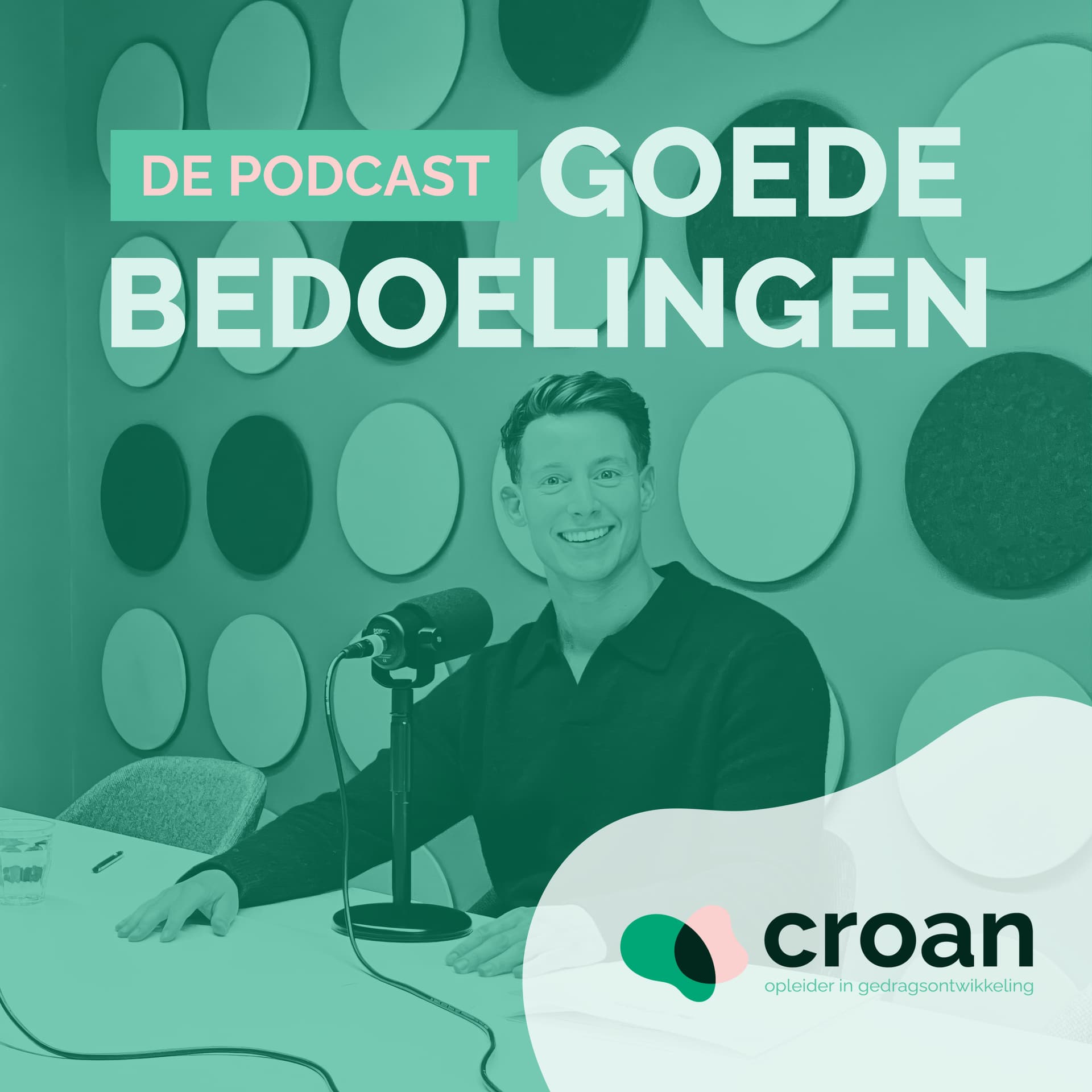 Goede bedoelingen - Podcasts