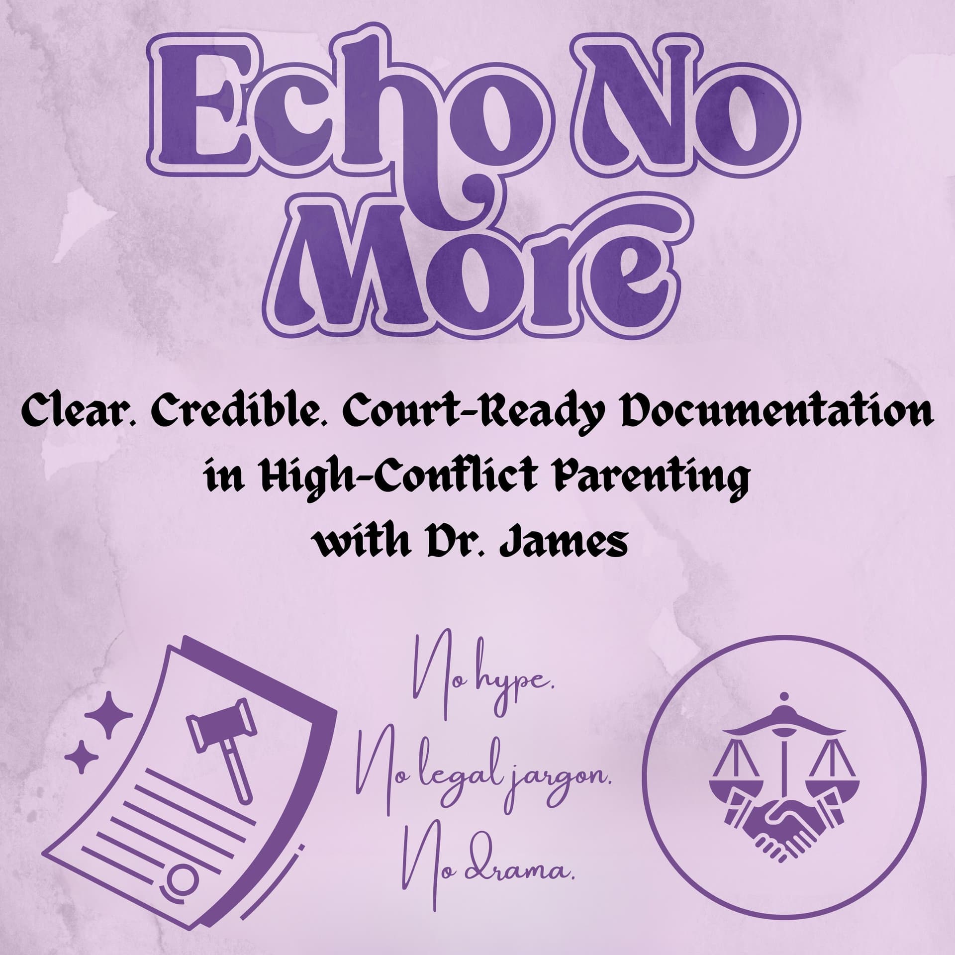 Echo No More: Clear. Credible. Court- Ready Documentation In High Conflict Parenting - Podcasts