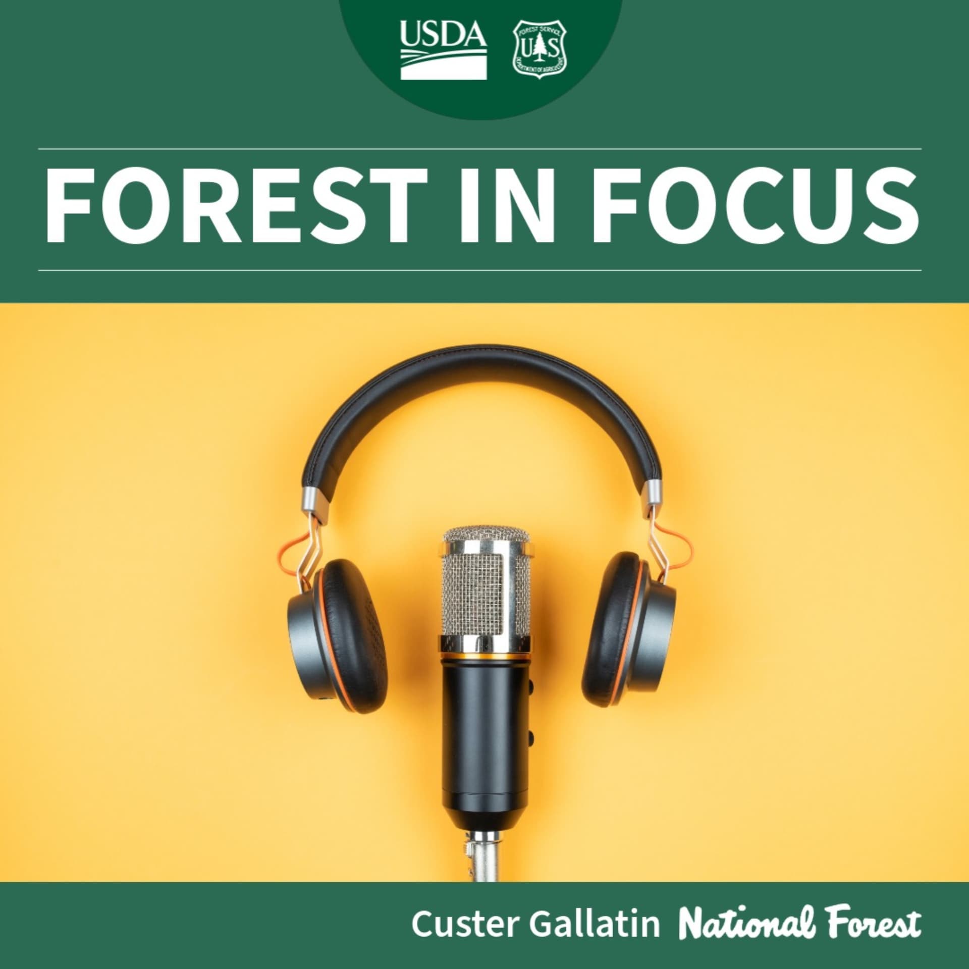 Forest in Focus Custer Gallatin National Forest - Podcasts