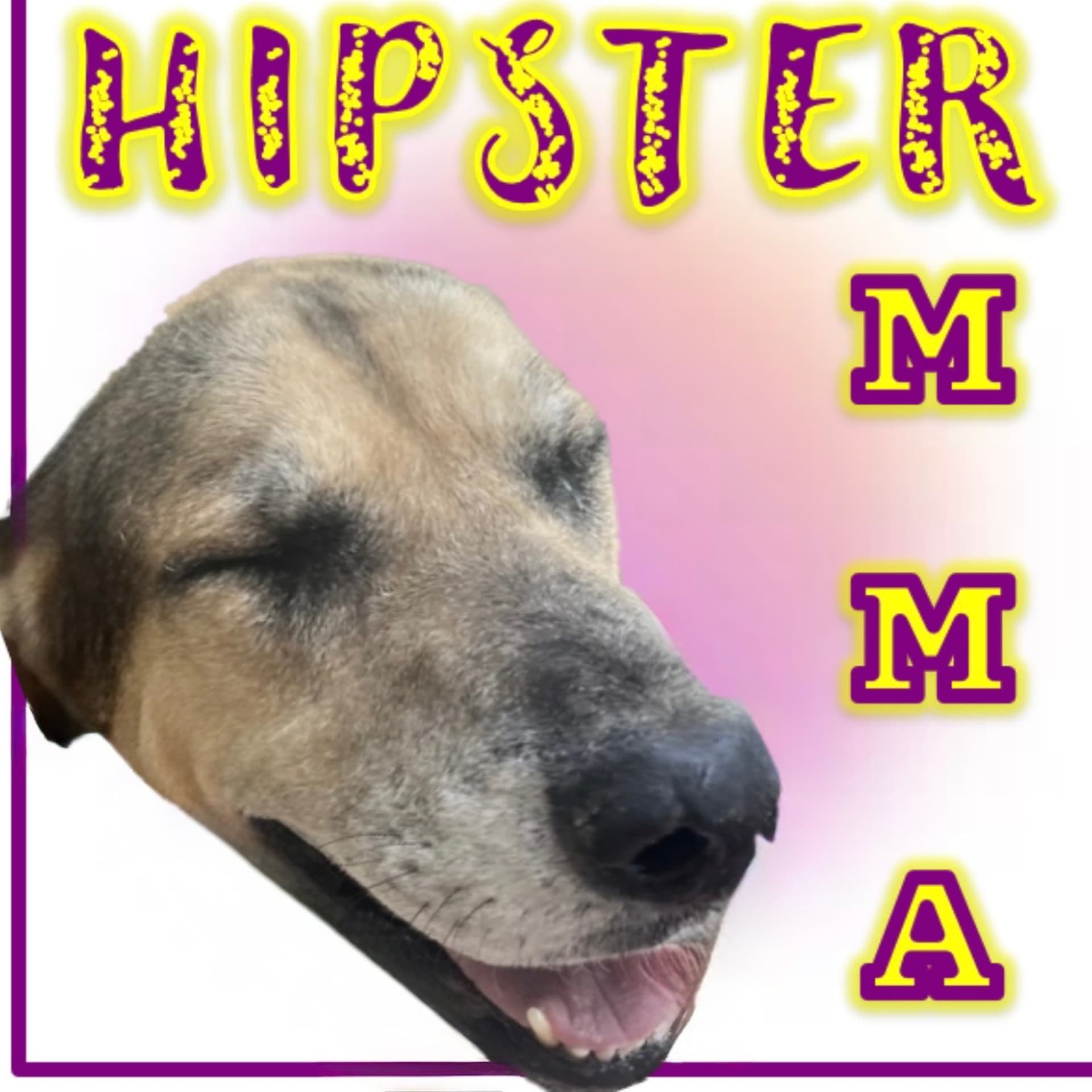 HipsterMMA - Podcasts