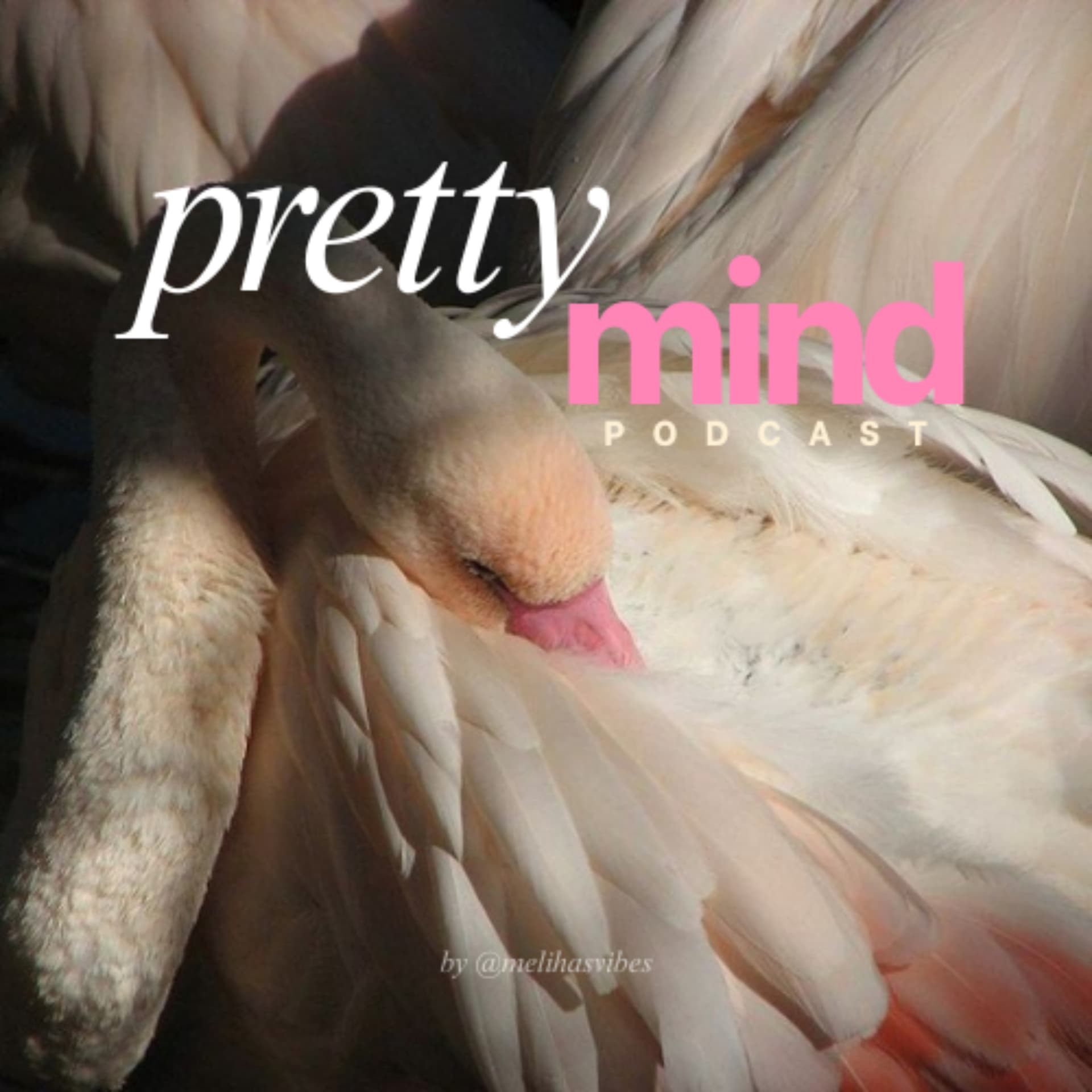 Pretty Mind Podcast - Podcasts