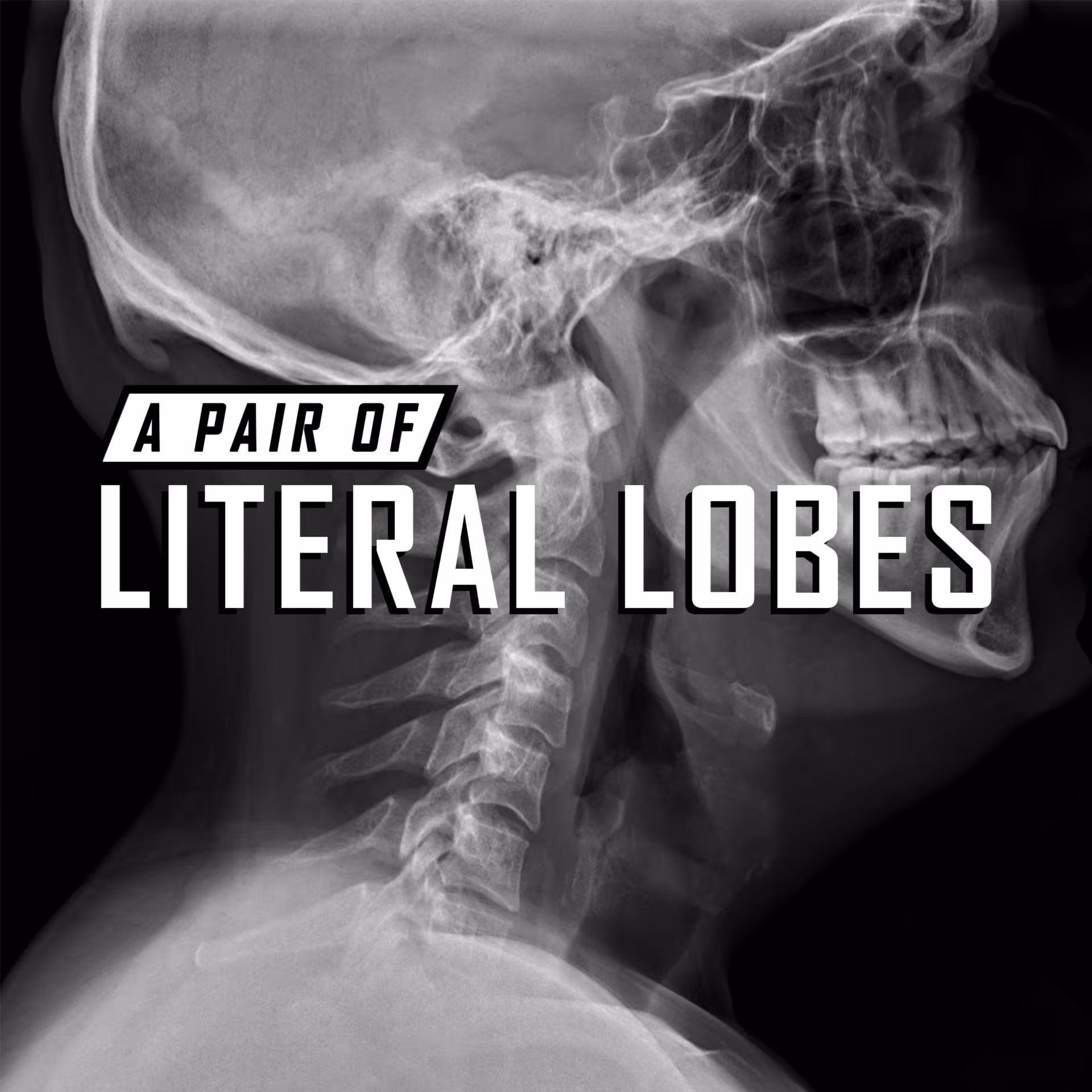 A Pair of Literal Lobes - Podcasts