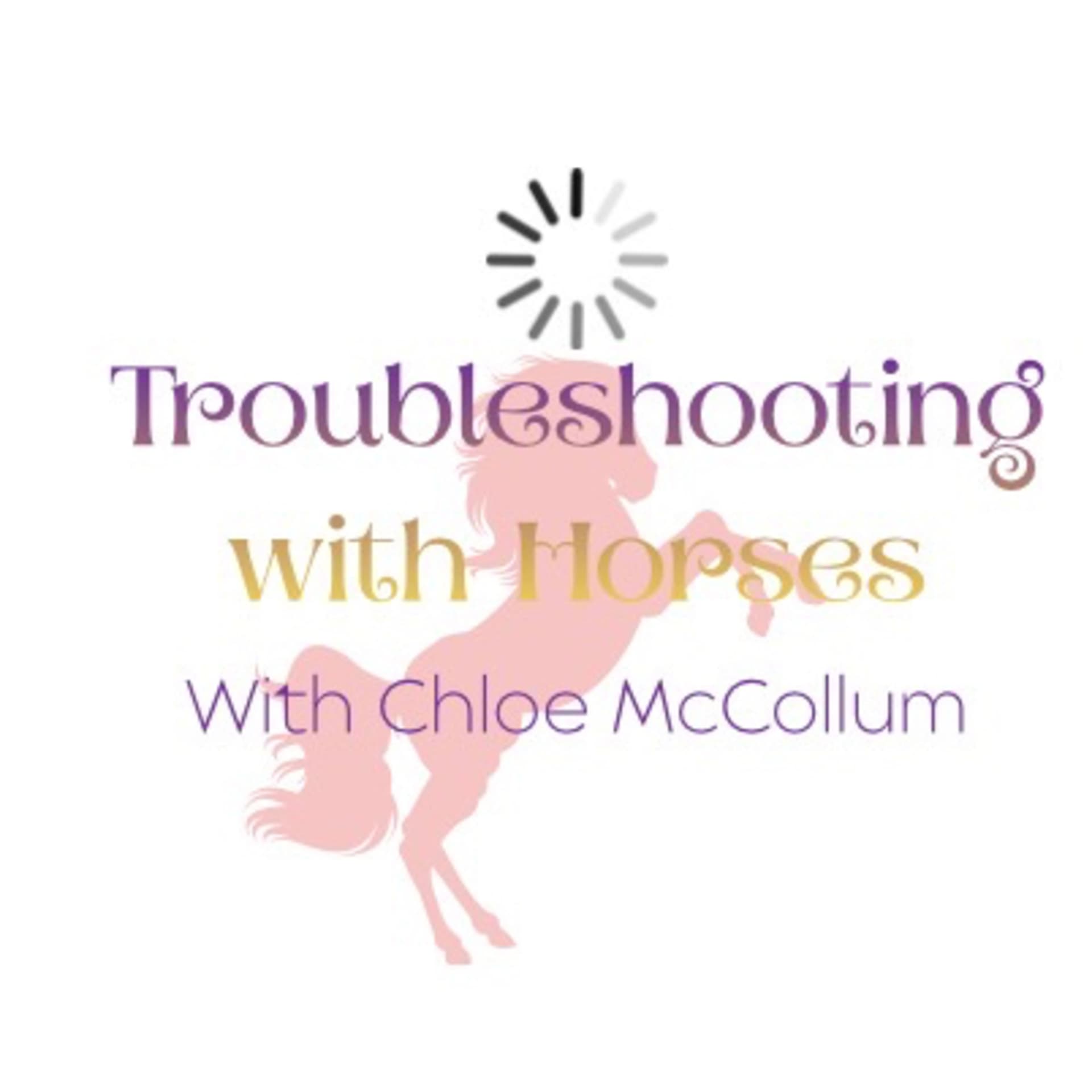 Troubleshooting with Horses
