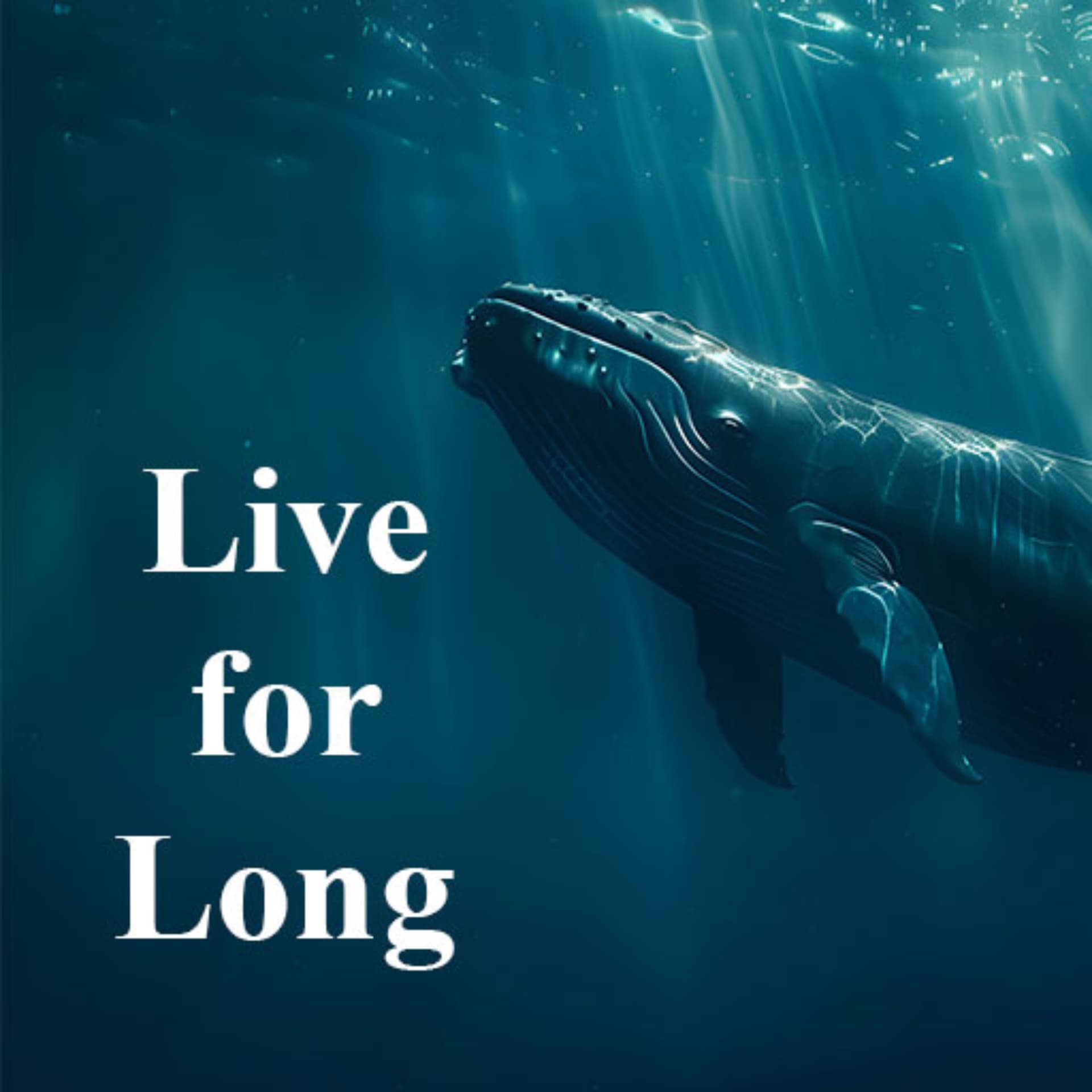 Live for Long - Building a Life Worth Living, Every Day - 播客