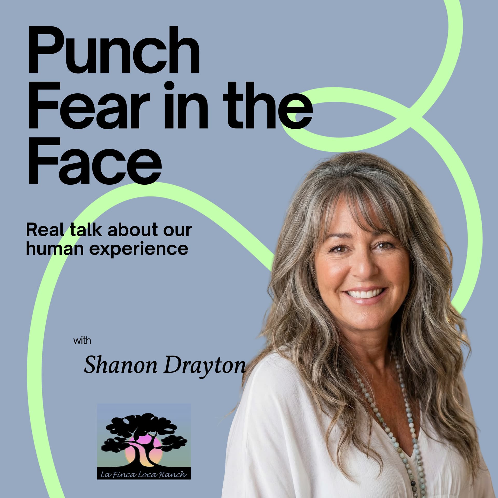 Punch Fear in the Face - Podcasts