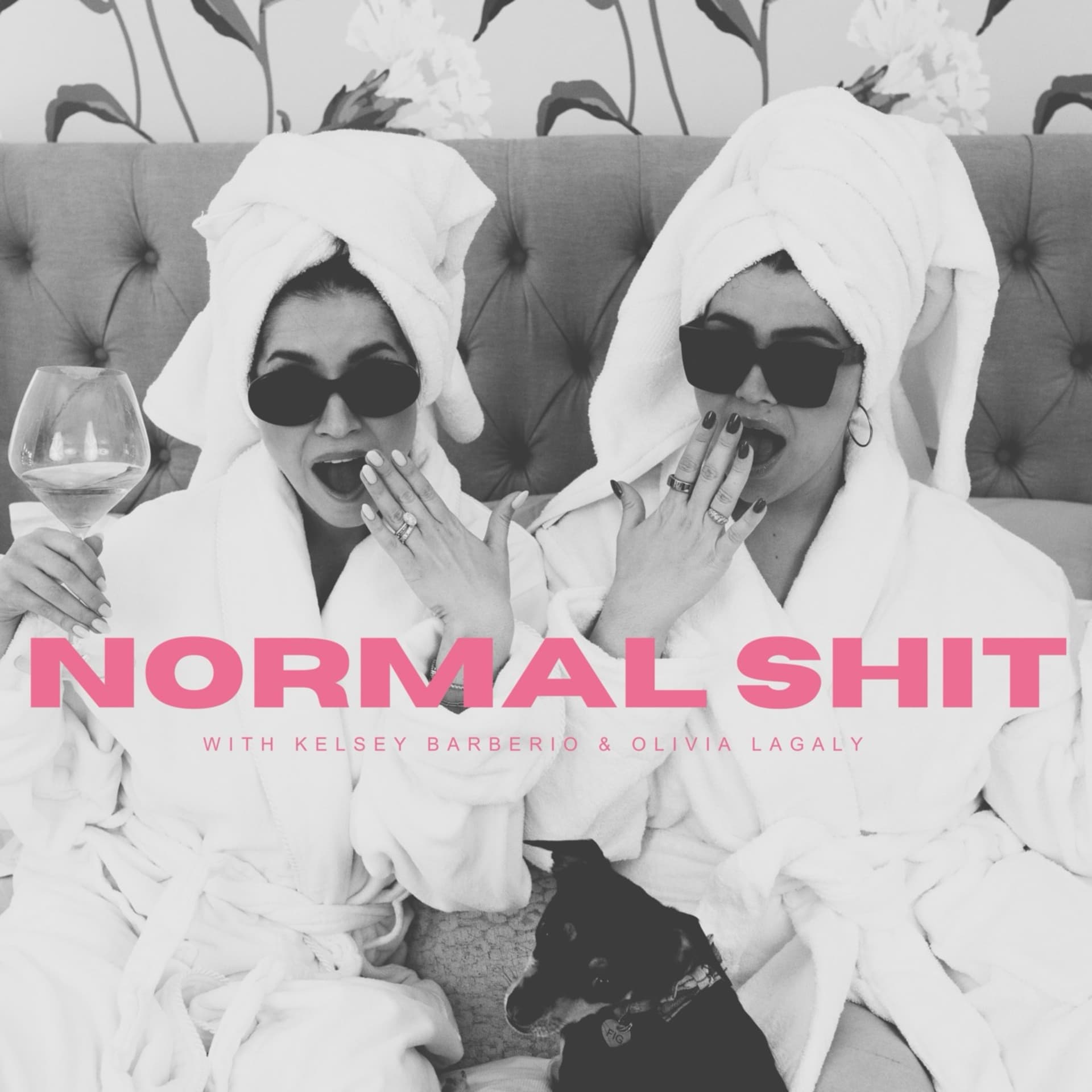 Normal Shit - Podcasts