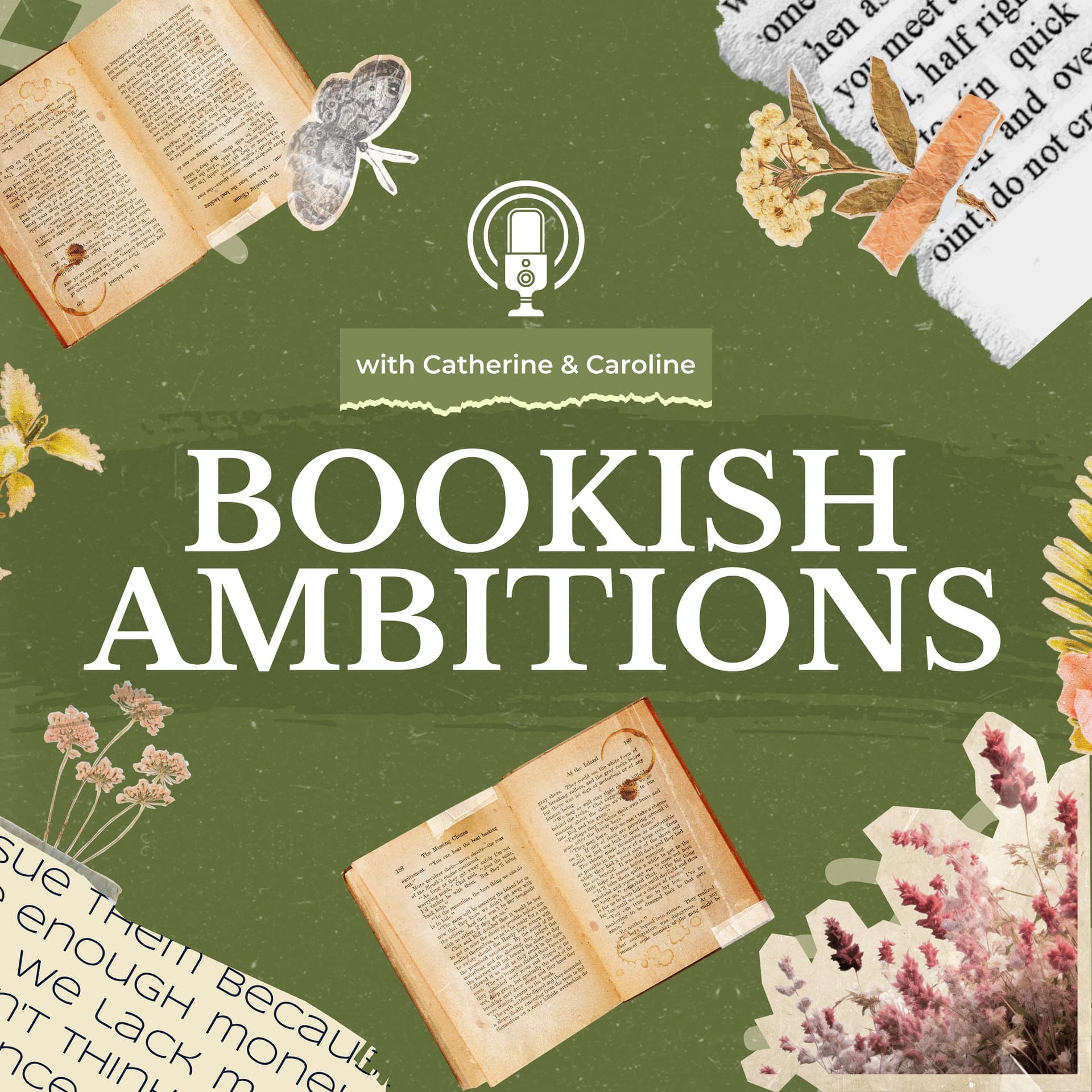 Bookish Ambitions: A Books and Adaptation Podcast - Podcasts