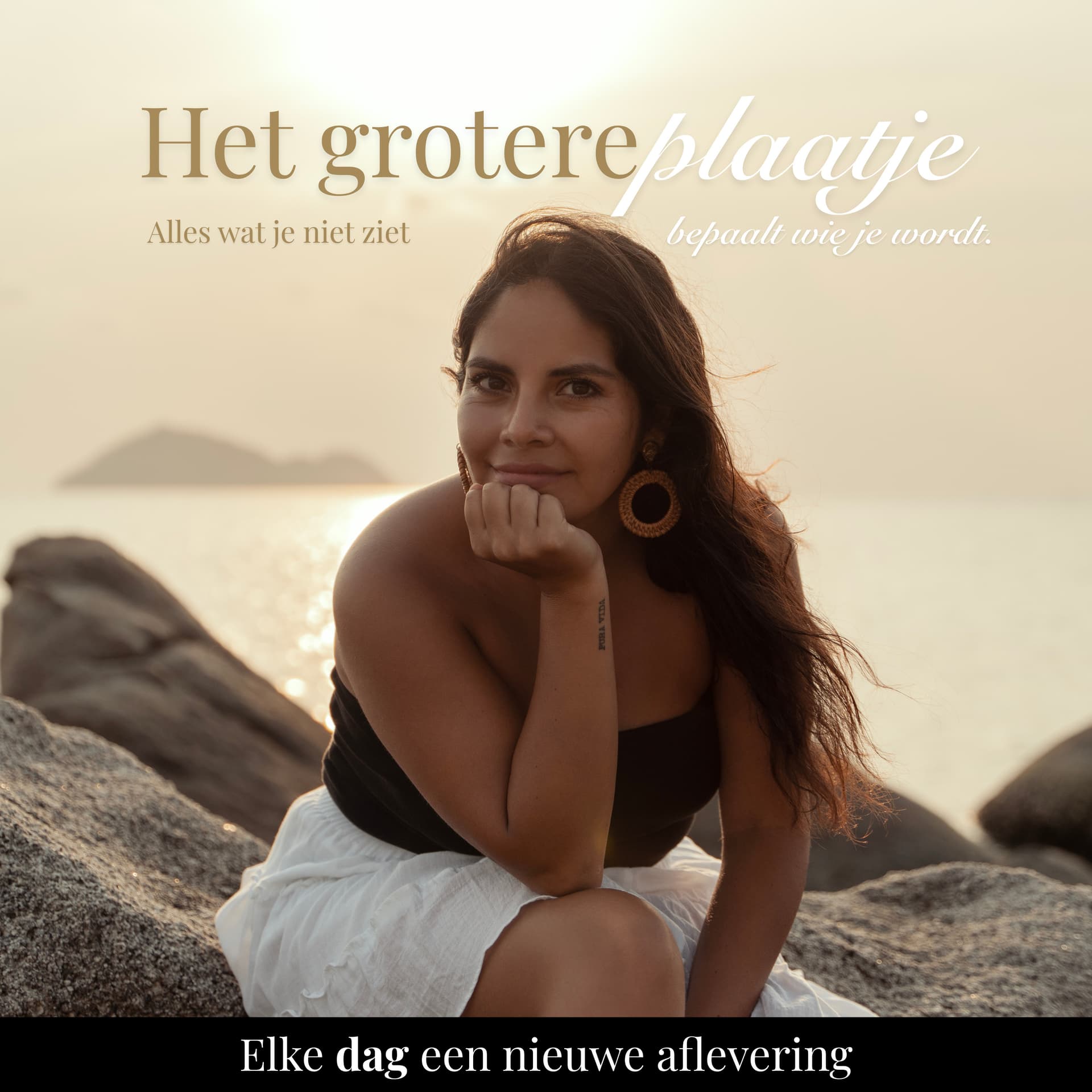Het Grotere Plaatje - Podcasts