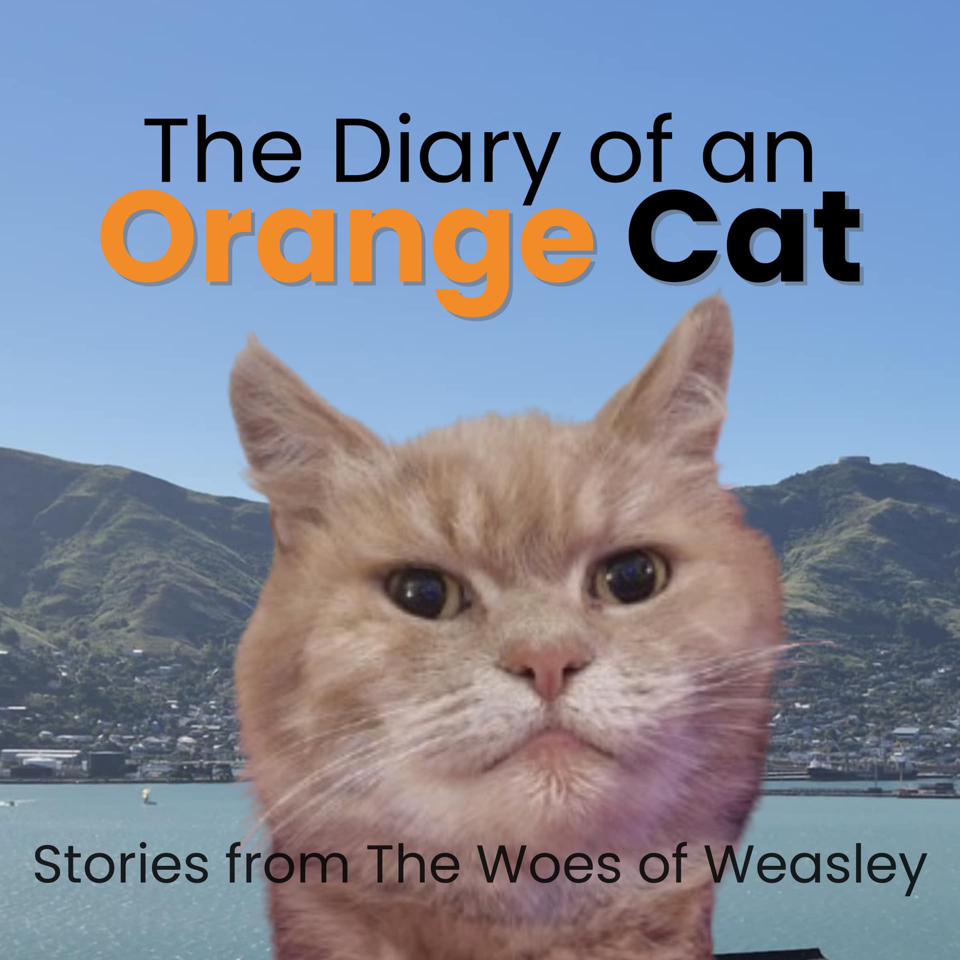 The Diary of an Orange Cat - Podcast