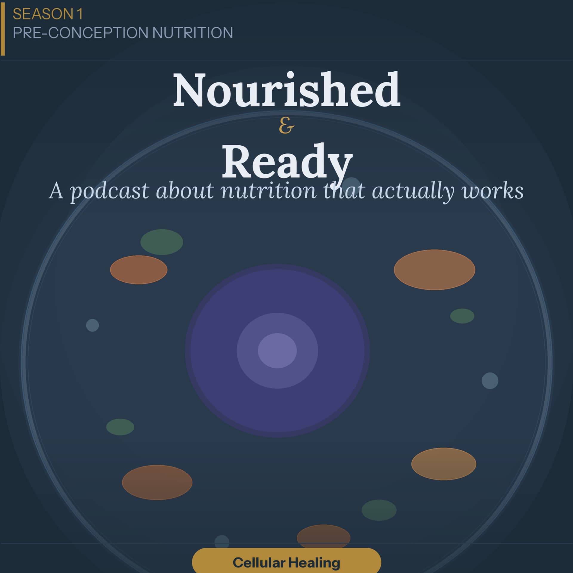Nourished & Ready - Podcasts