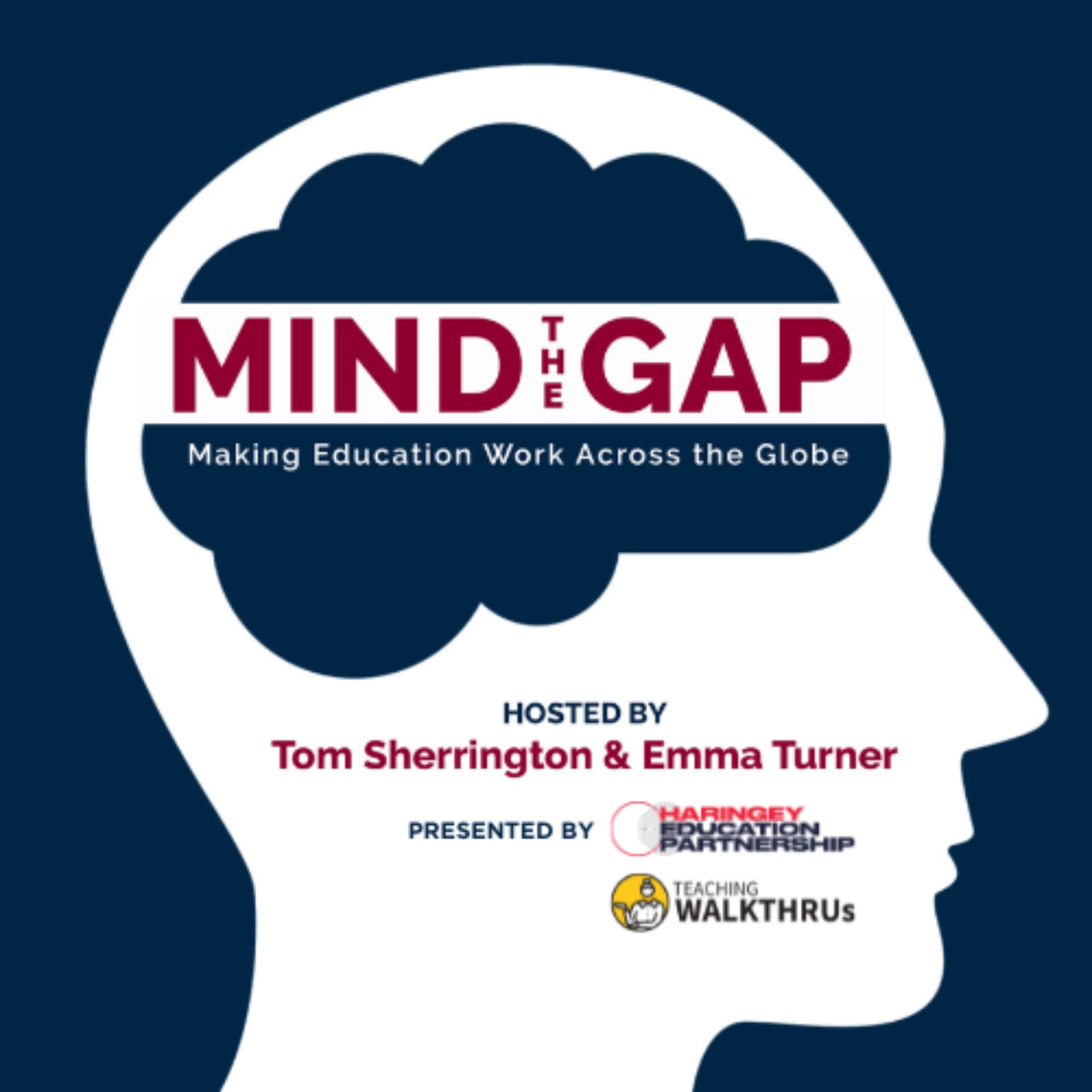 Mind the Gap: Making Education Work Across the Globe - Podcast