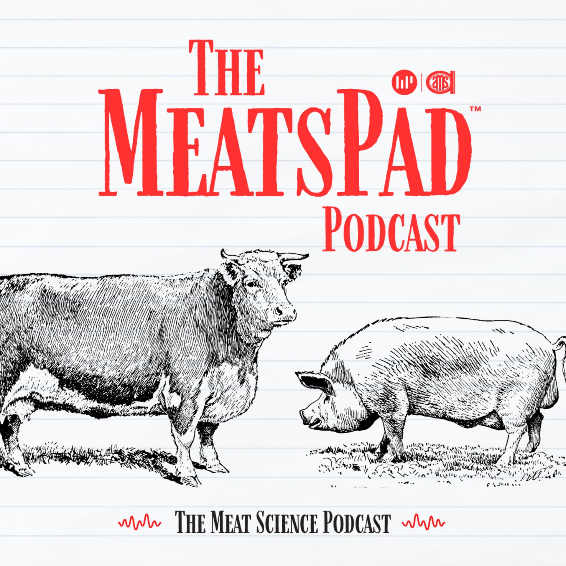 MeatsPad - Подкасты
