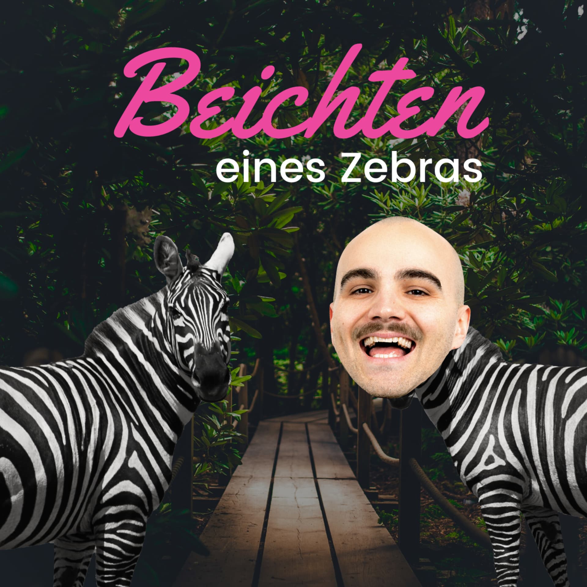 Beichten eines Zebras - Podcasts