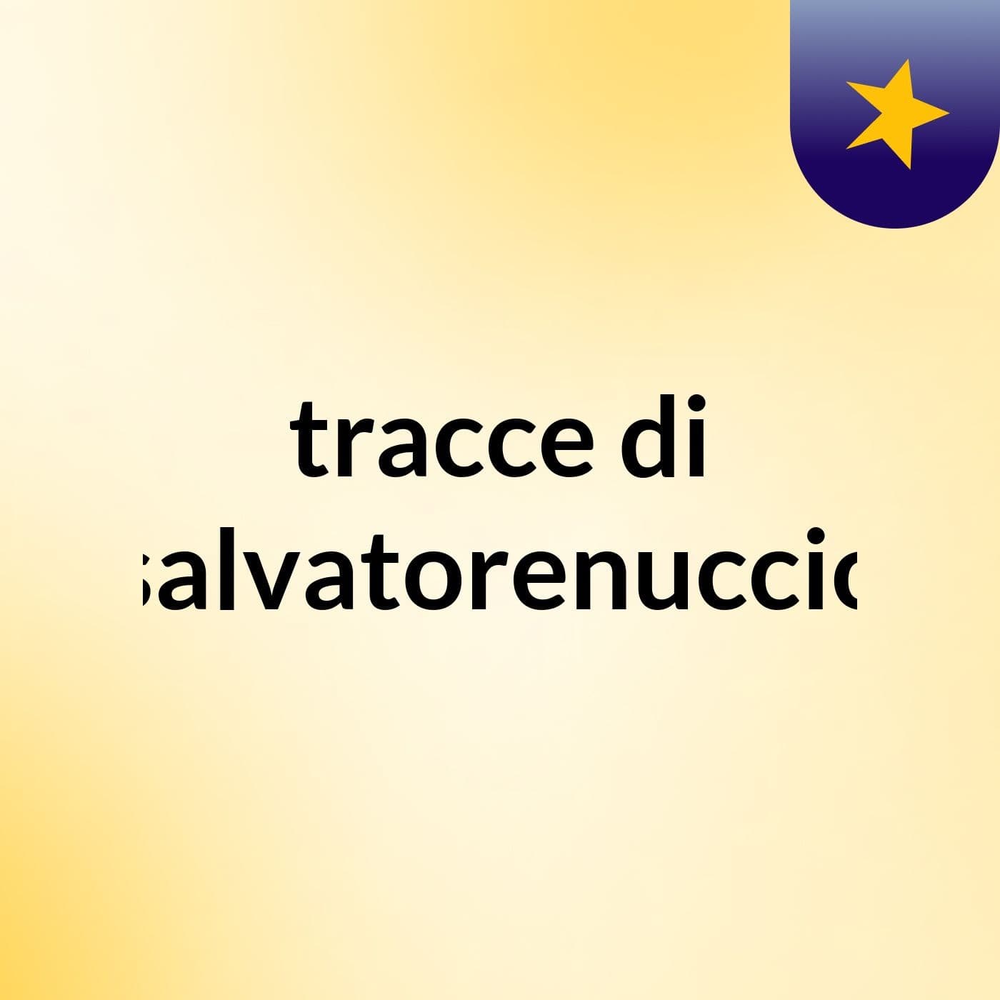 tracce di salvatorenuccio