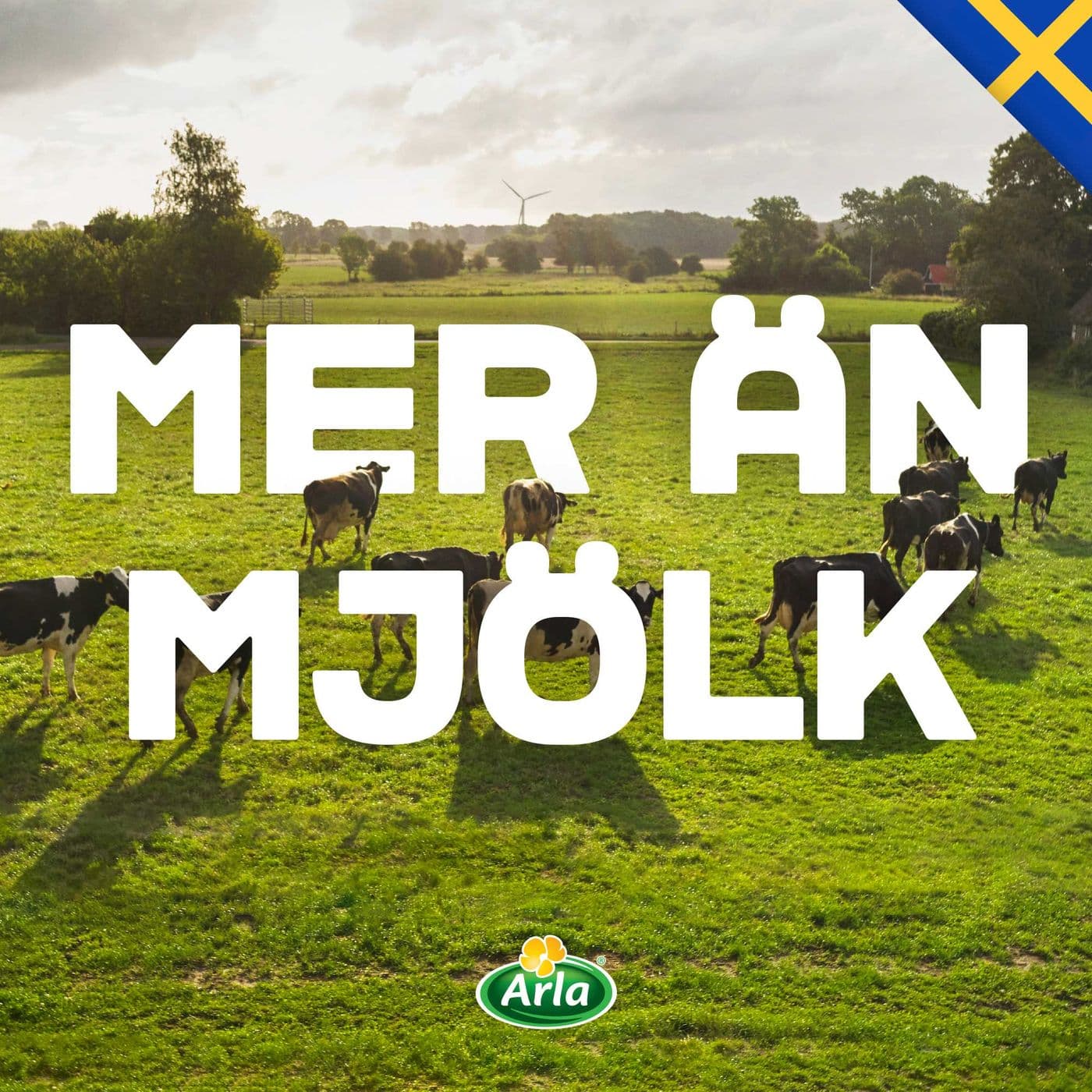 Arla – Mer än Mjölk - Podcasts