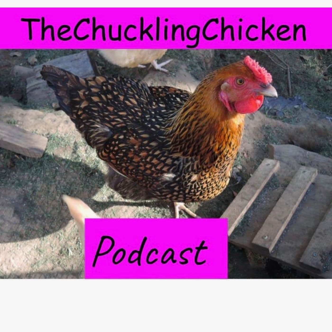 The Chuckling Chicken - Podcasts