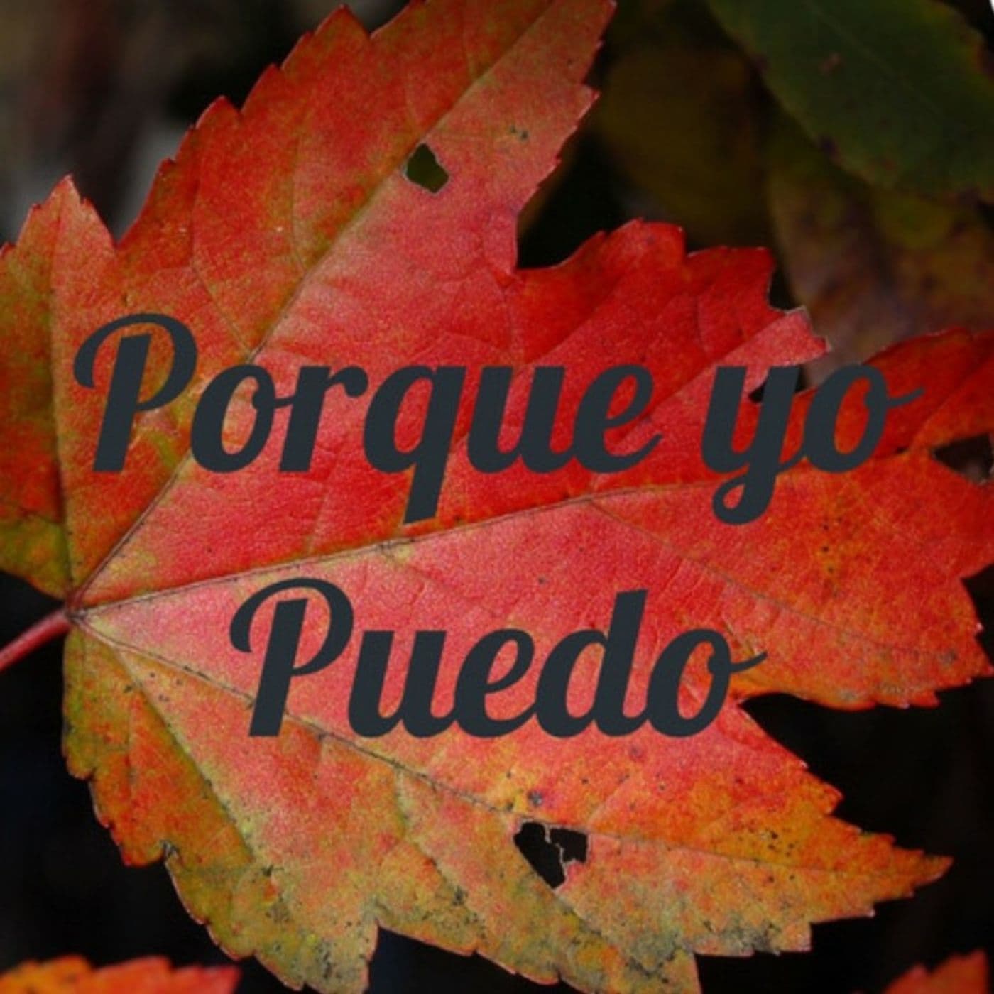 Porque yo Puedo - Podcasts