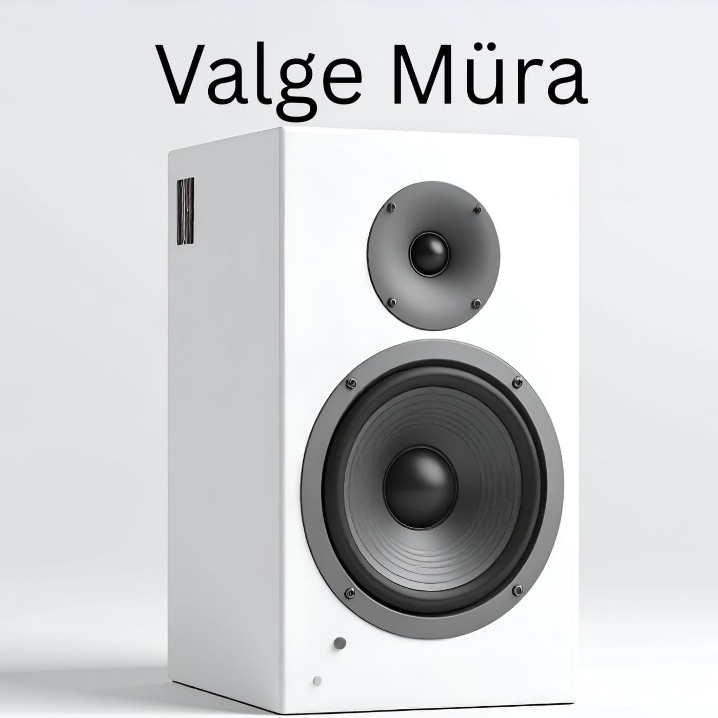 Valge Müra - بودكاست