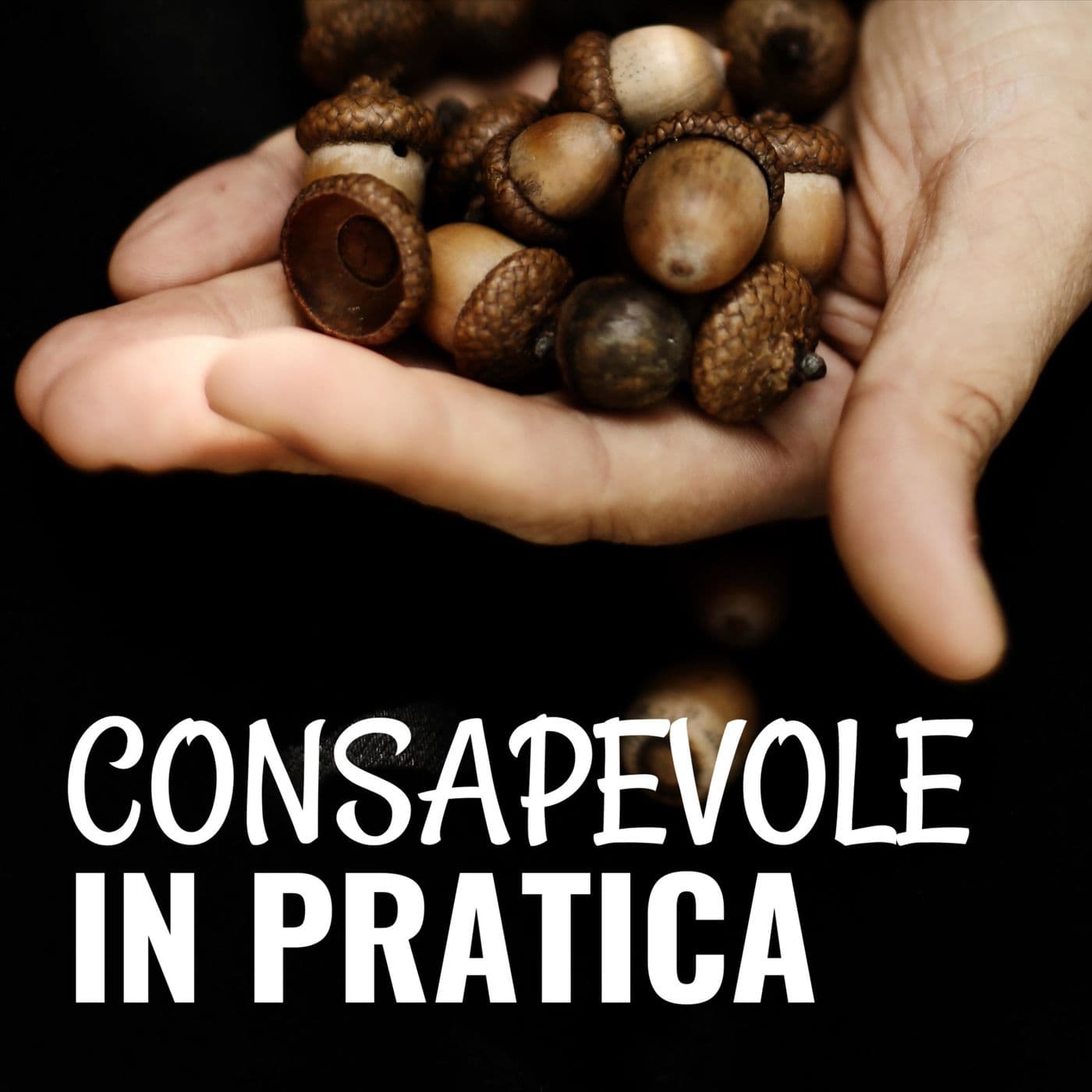 Consapevole in pratica - la mente in meditazione - Podcasts