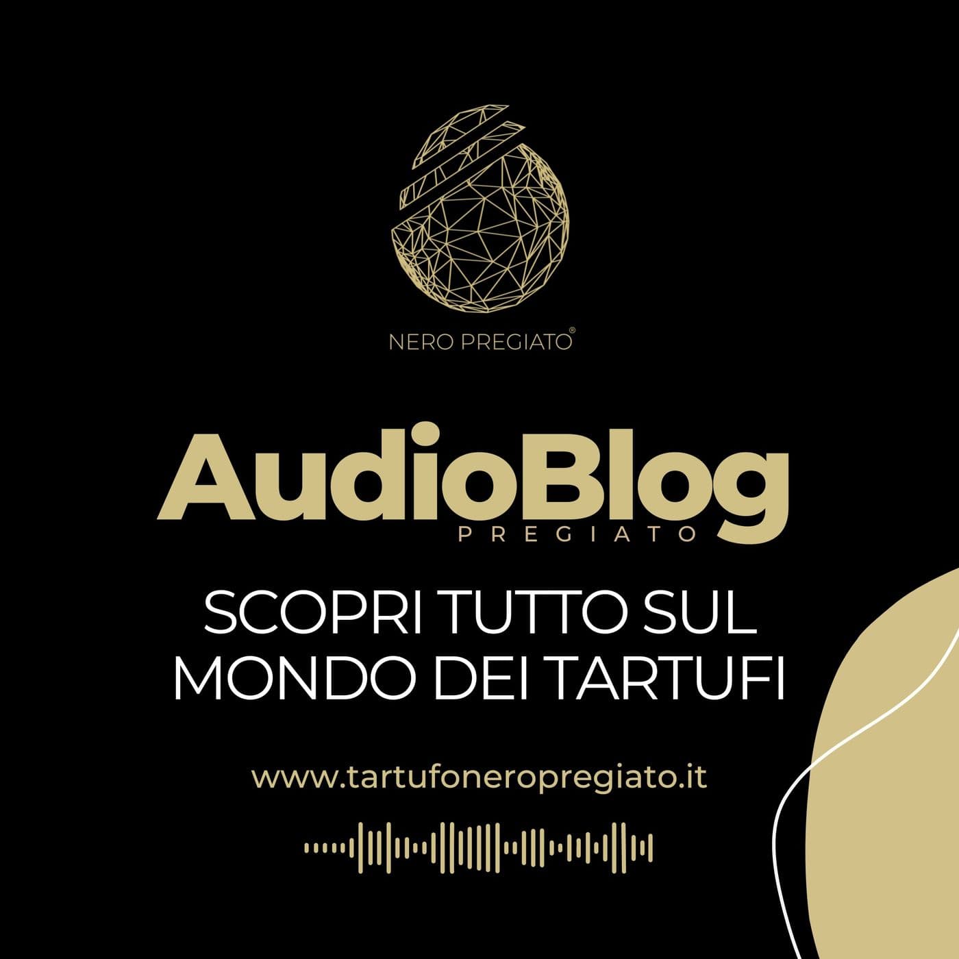 AudioBlog Pregiato - Podcast