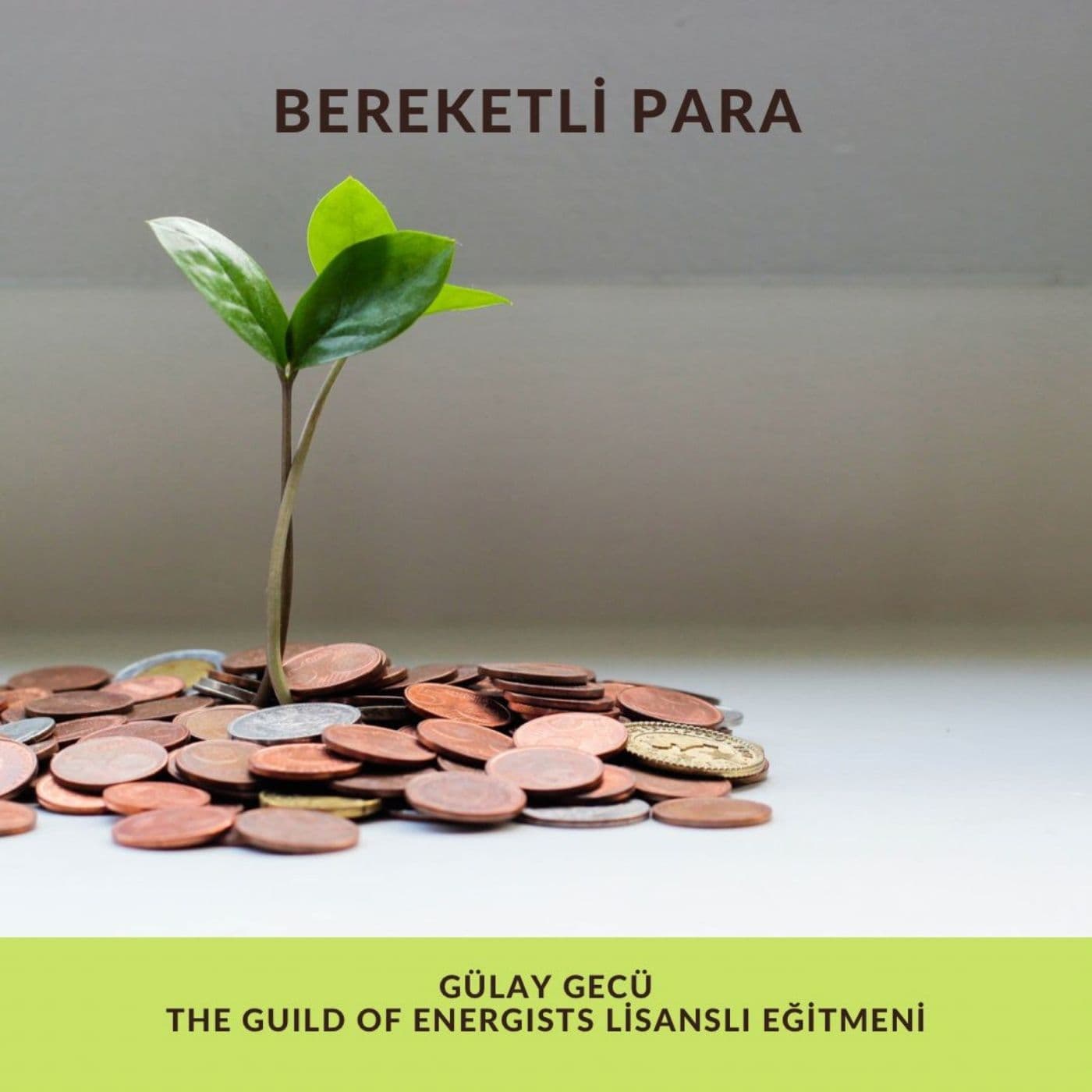 Gülay Gecü ile Para - Bolluk - Bereket - Podcastler