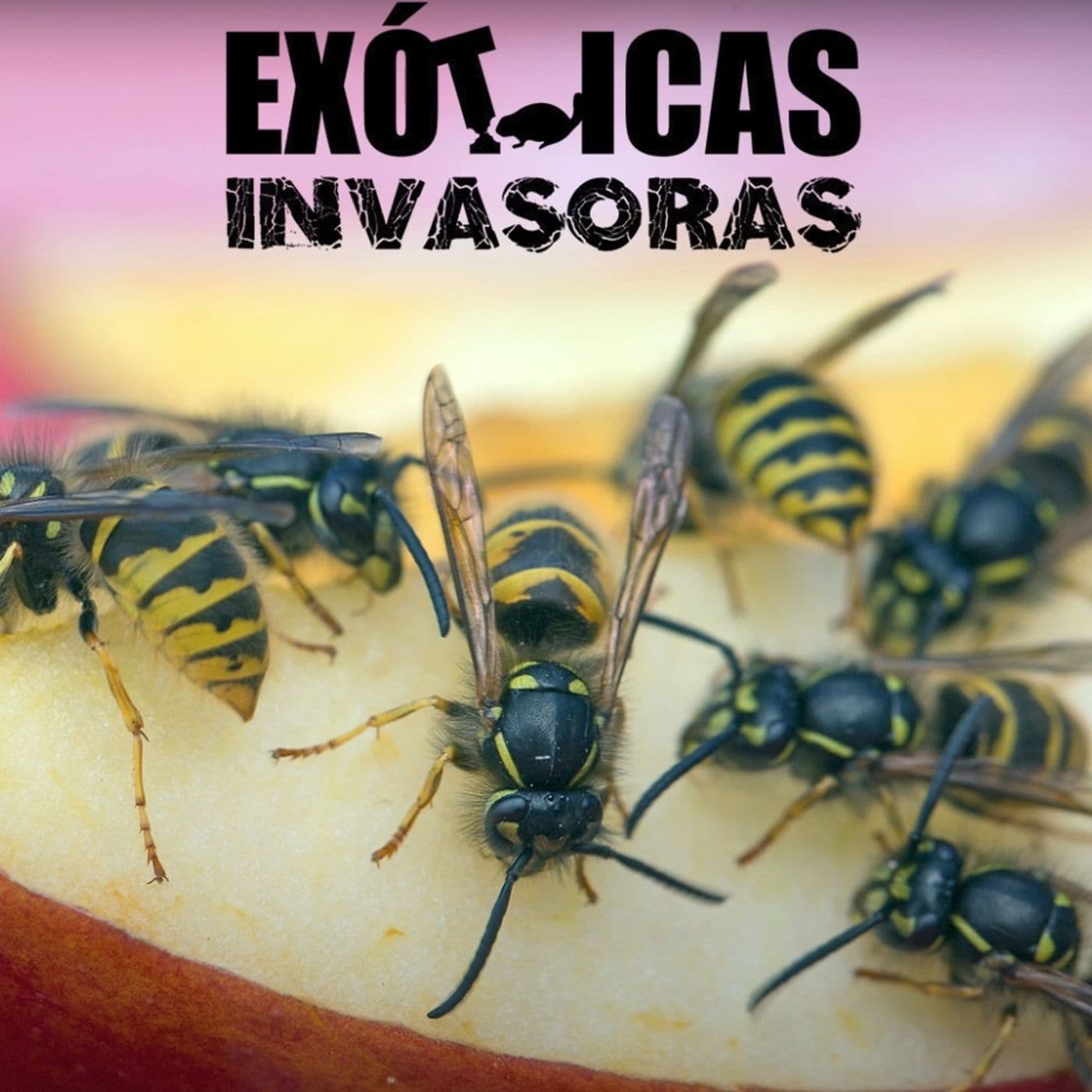 La Amenaza Silenciosa - Podcasts