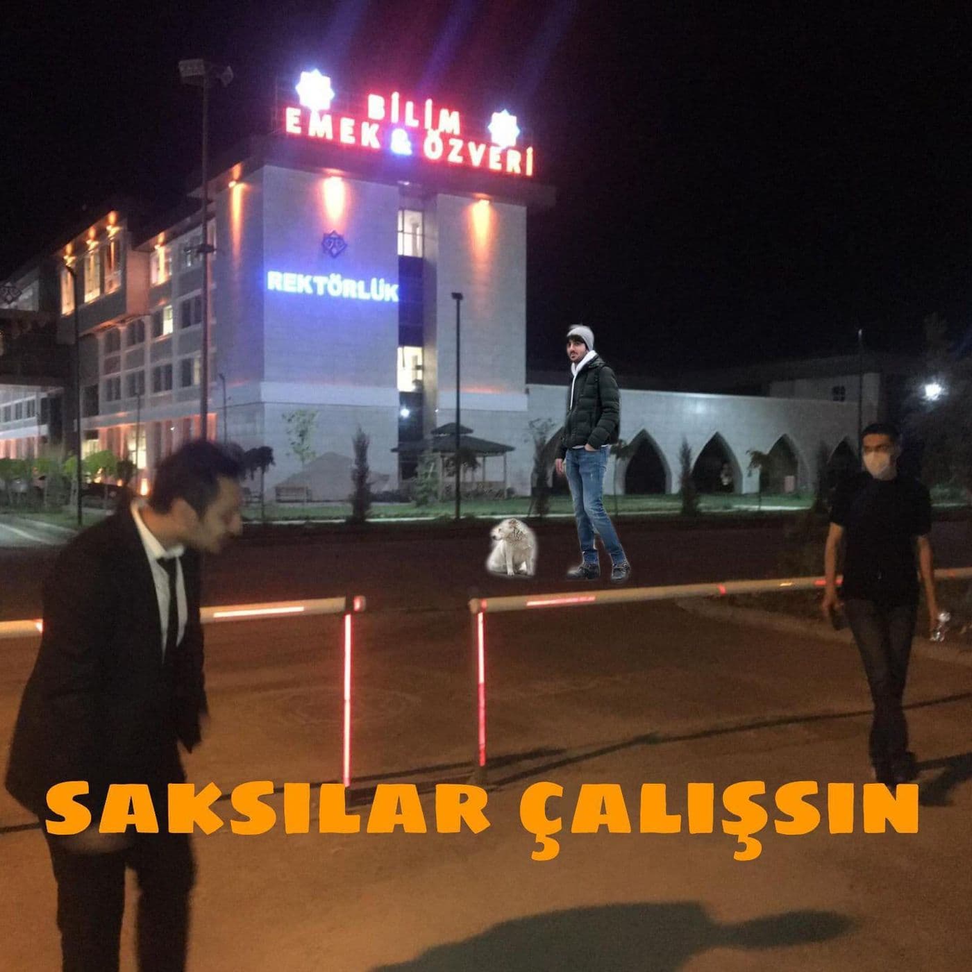 Saksılar Çalışsın - Podcasts