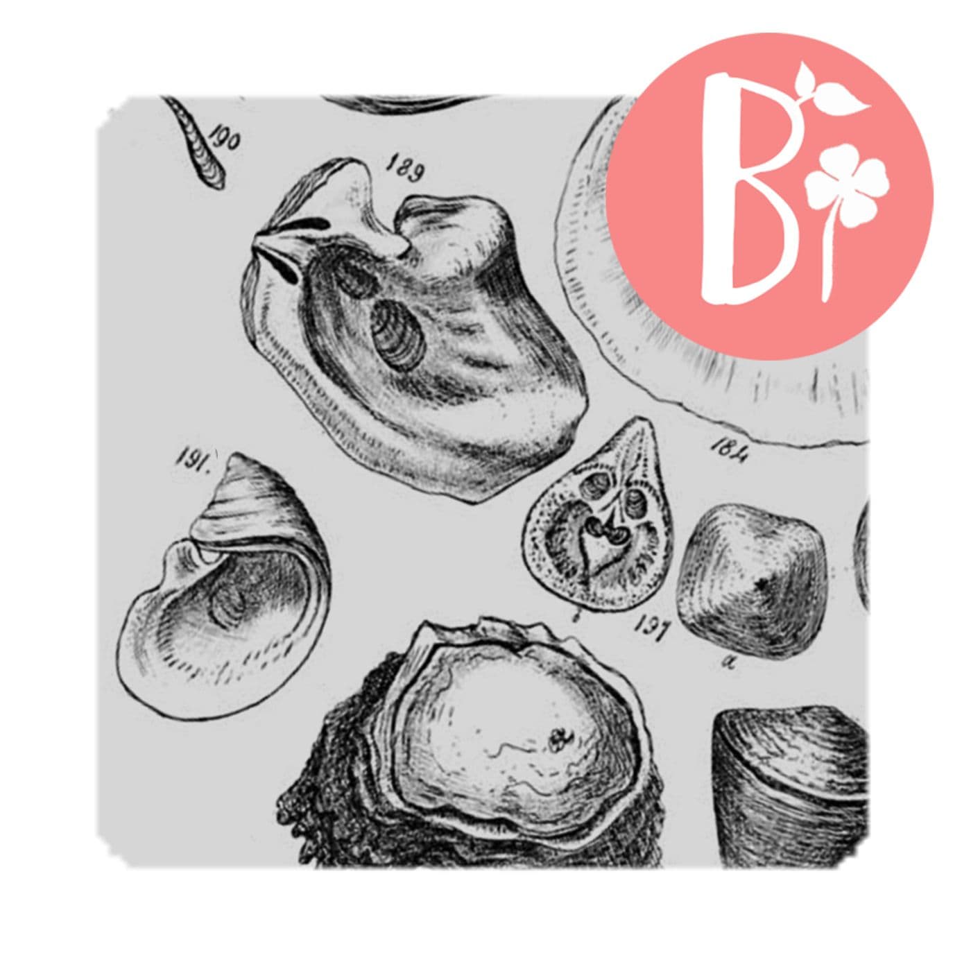 Audiolibri di Mare - Podcast