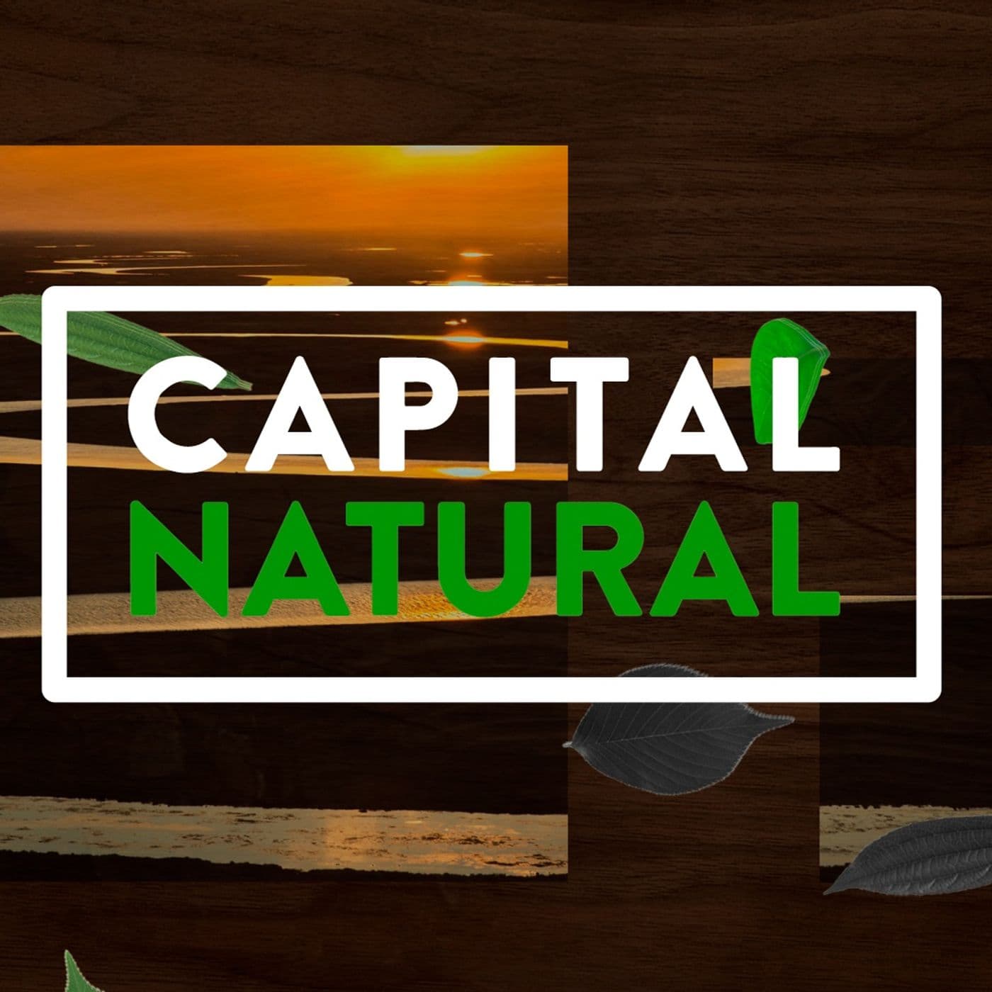 BandNews Capital Natural - Podcasts