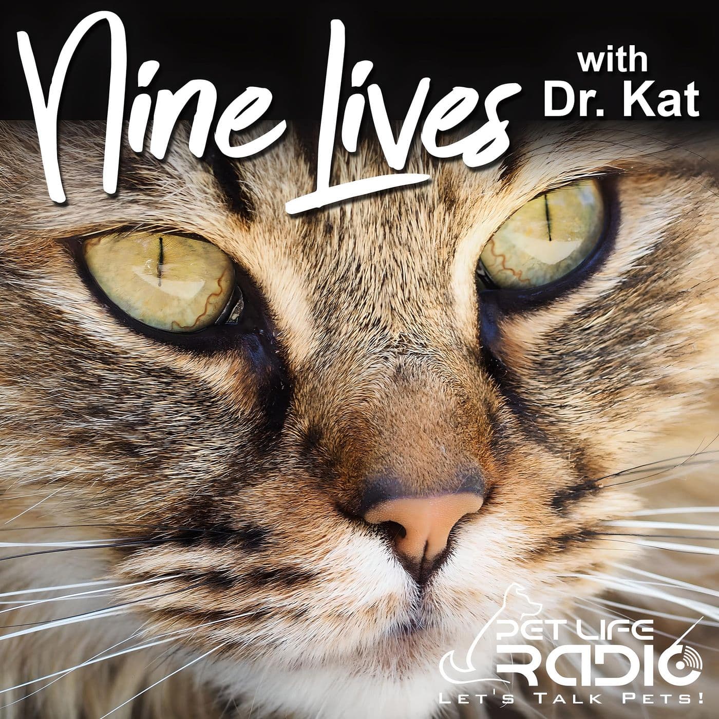 Nine Lives with Dr. Kat - Cat podcasts for cat lovers - Pet Life Radio Original - Podcast