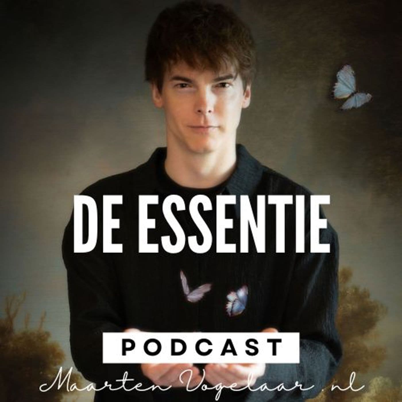 DE ESSENTIE - Voor Succesvolle Ondernemers en Leiders - Met Maarten Vogelaar - Podcasts