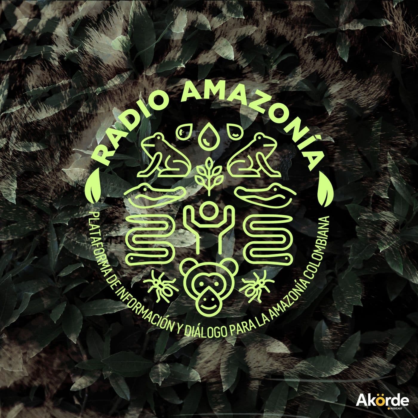 Radio Amazonía - Podcasts