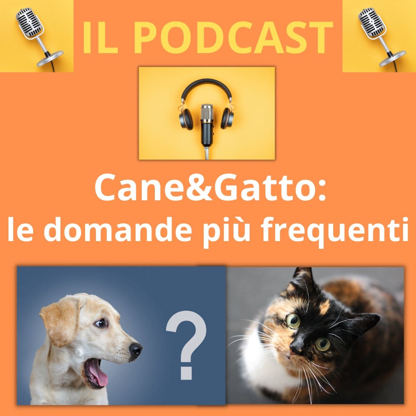 Cane&gatto: le domande più frequenti - Podcast