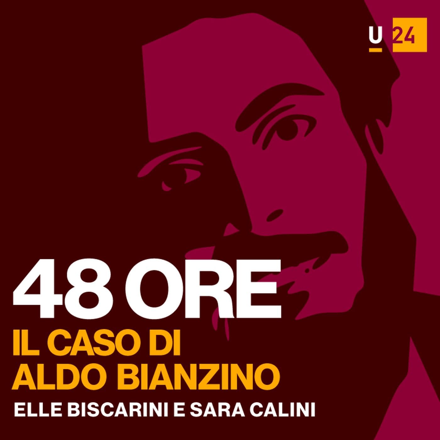 48 Ore - Il caso di Aldo Bianzino