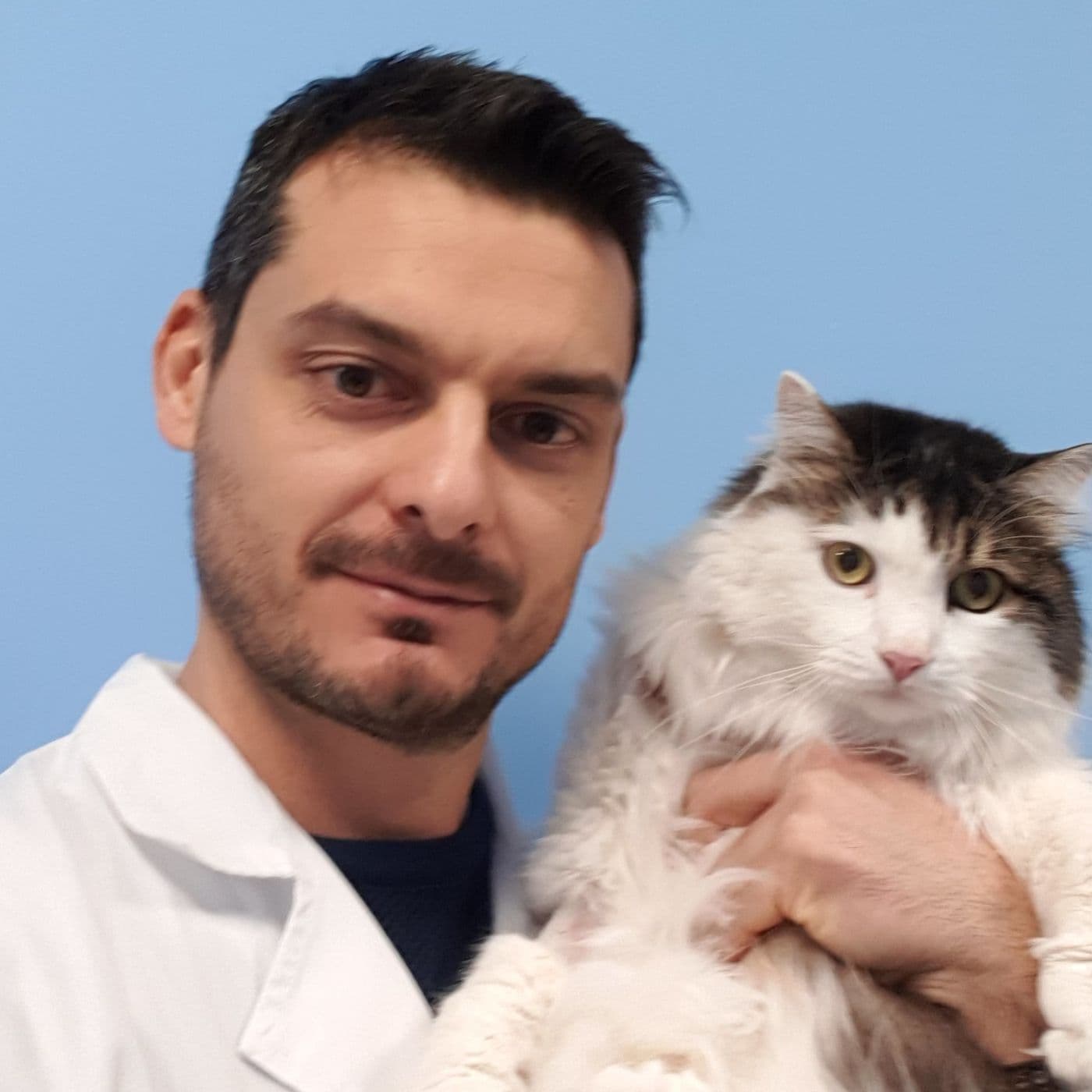Pillole di VETERINARIA - Podcasts