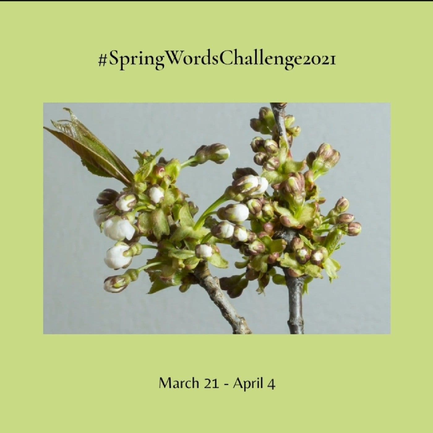 Spring WORDS - PAROLE di Primavera - Podcast