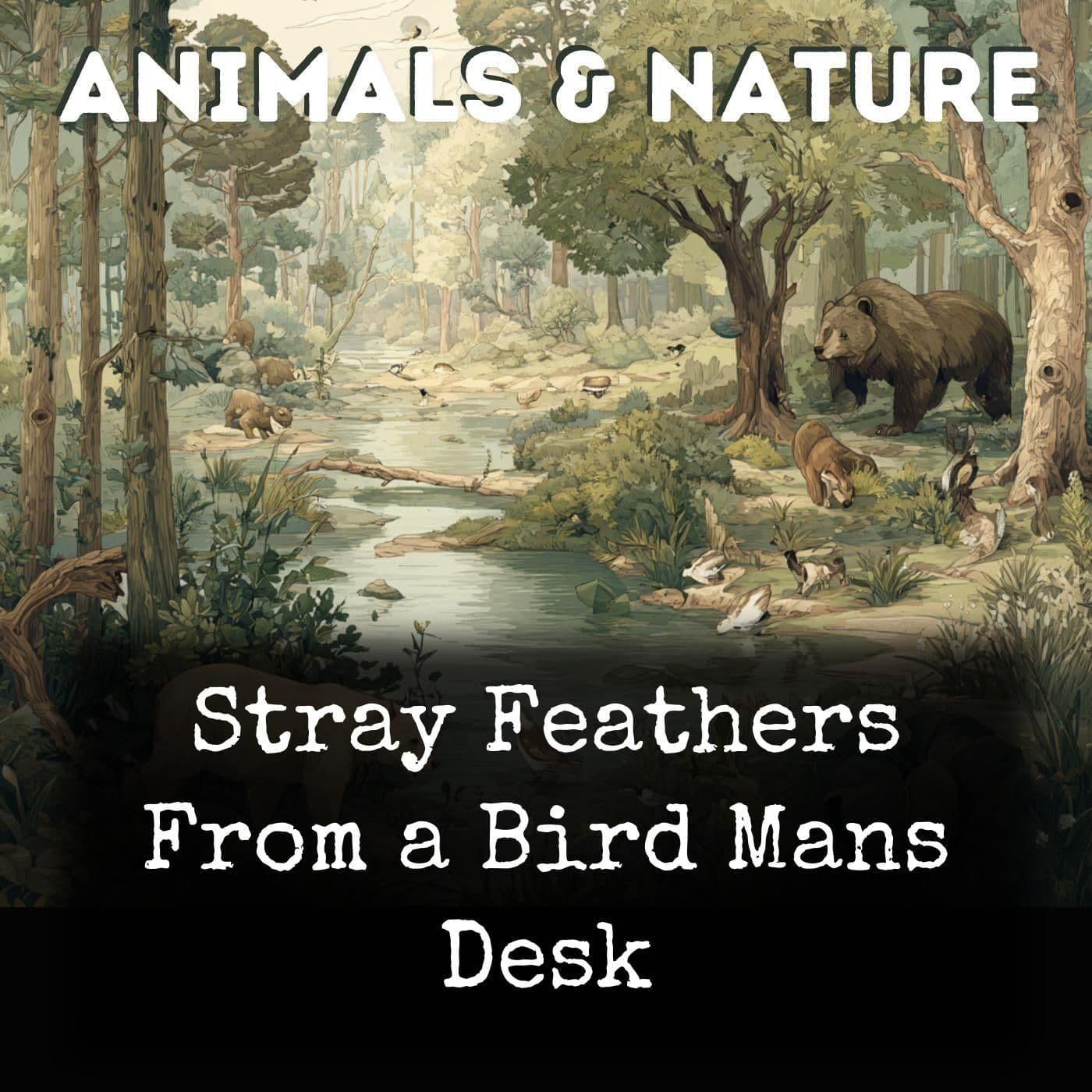 Stray Feathers From a Bird Mans Desk - Podcasts