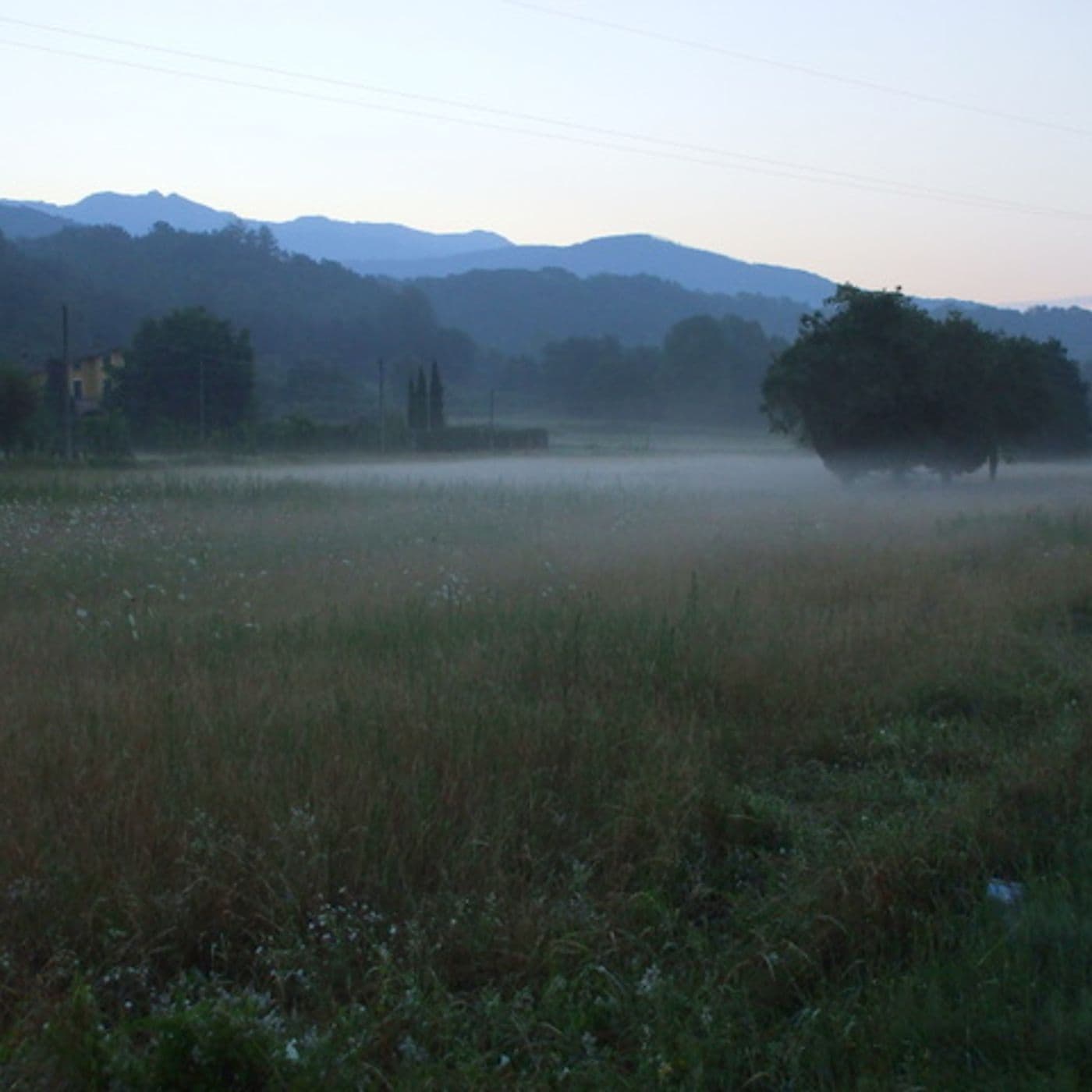 FRANCIGENA Il mio Cammino Trasversale - Podcast