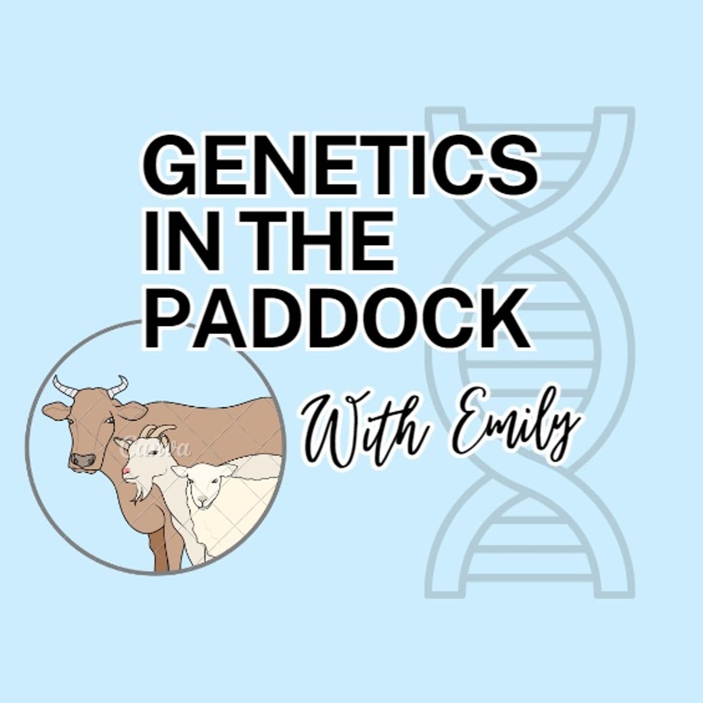 Genetics in the Paddock with Emily - Podcasts