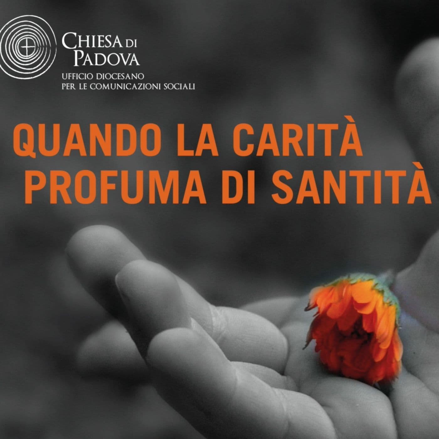 Quando la carità profuma di santità - Podcasts