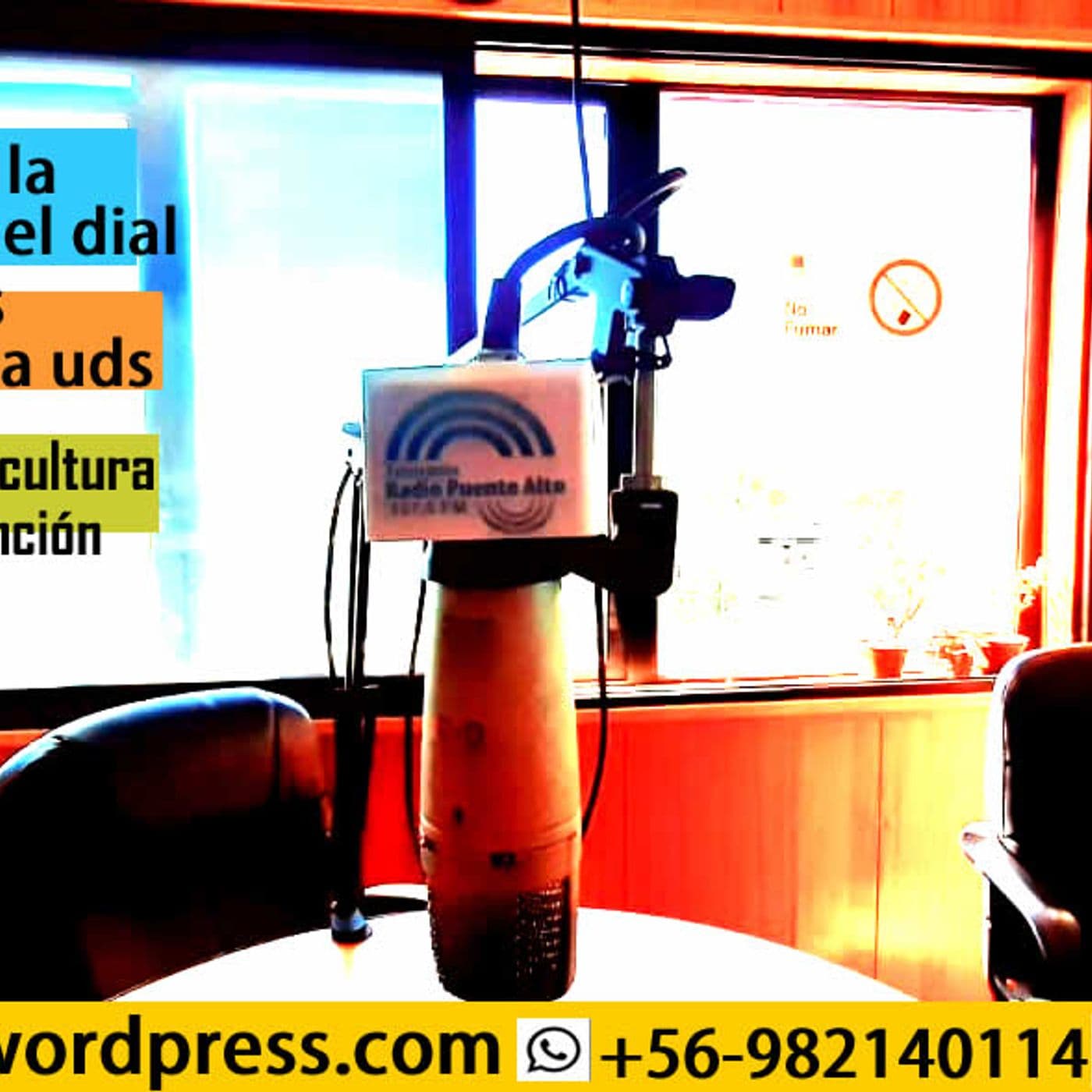 MICROPROGRAMAS DE RADIO PUENTE ALTO 107.5 FM CAPSULAS - Podcasts