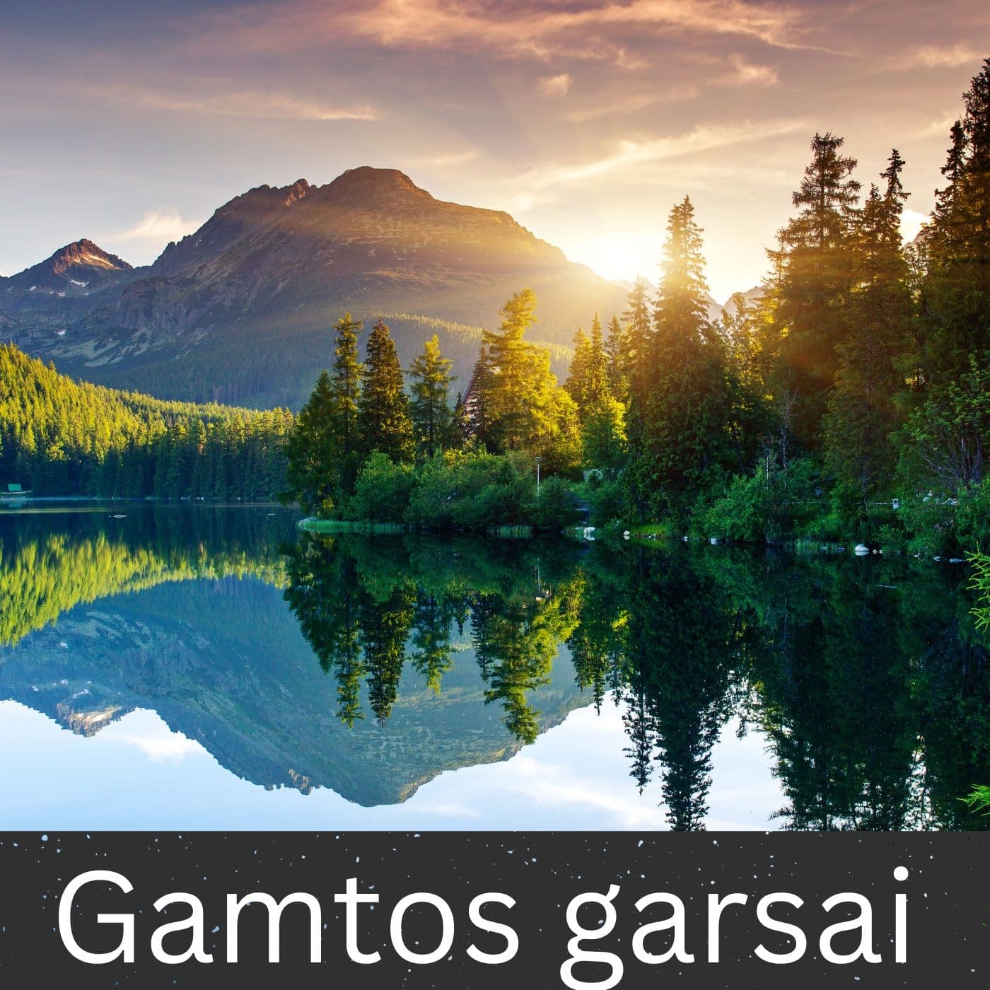 Gamtos garsai - Podcasts