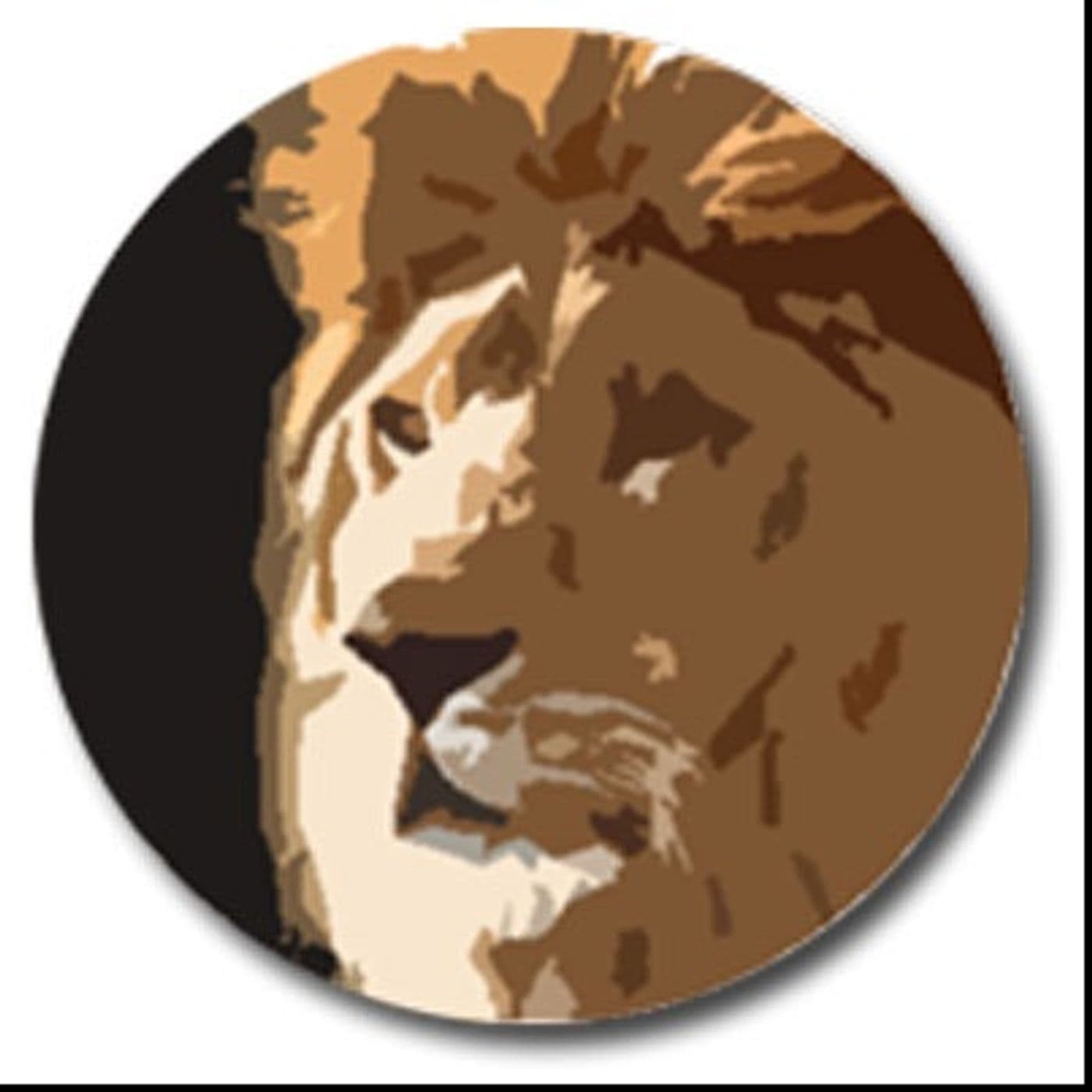 Reg A+ Money Show - Podcasts