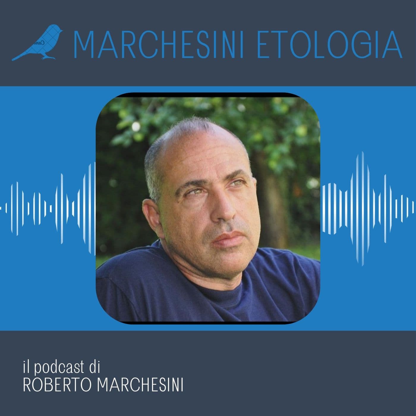 Marchesini Etologia - Podcast