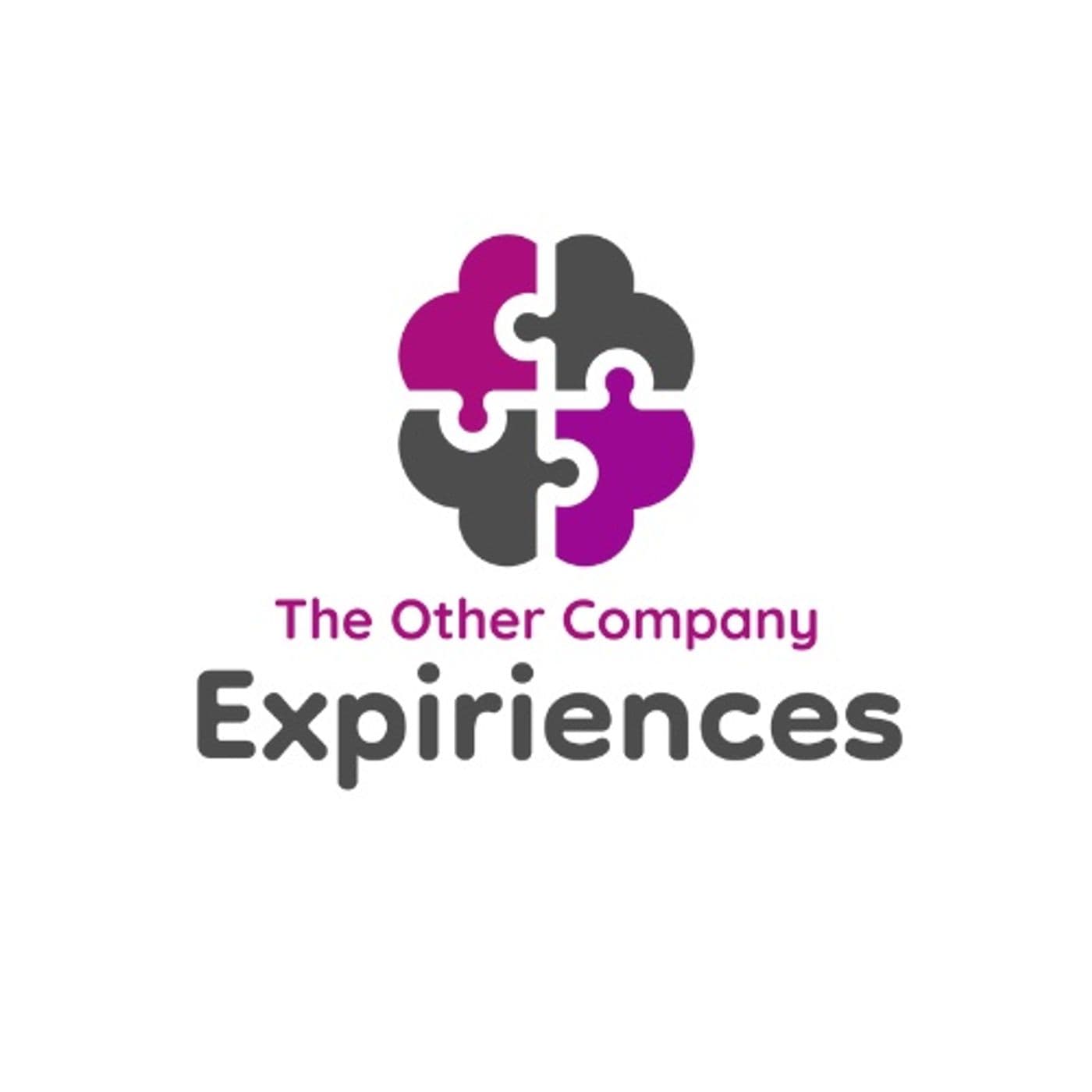 The Other Company Experience - Podcasts