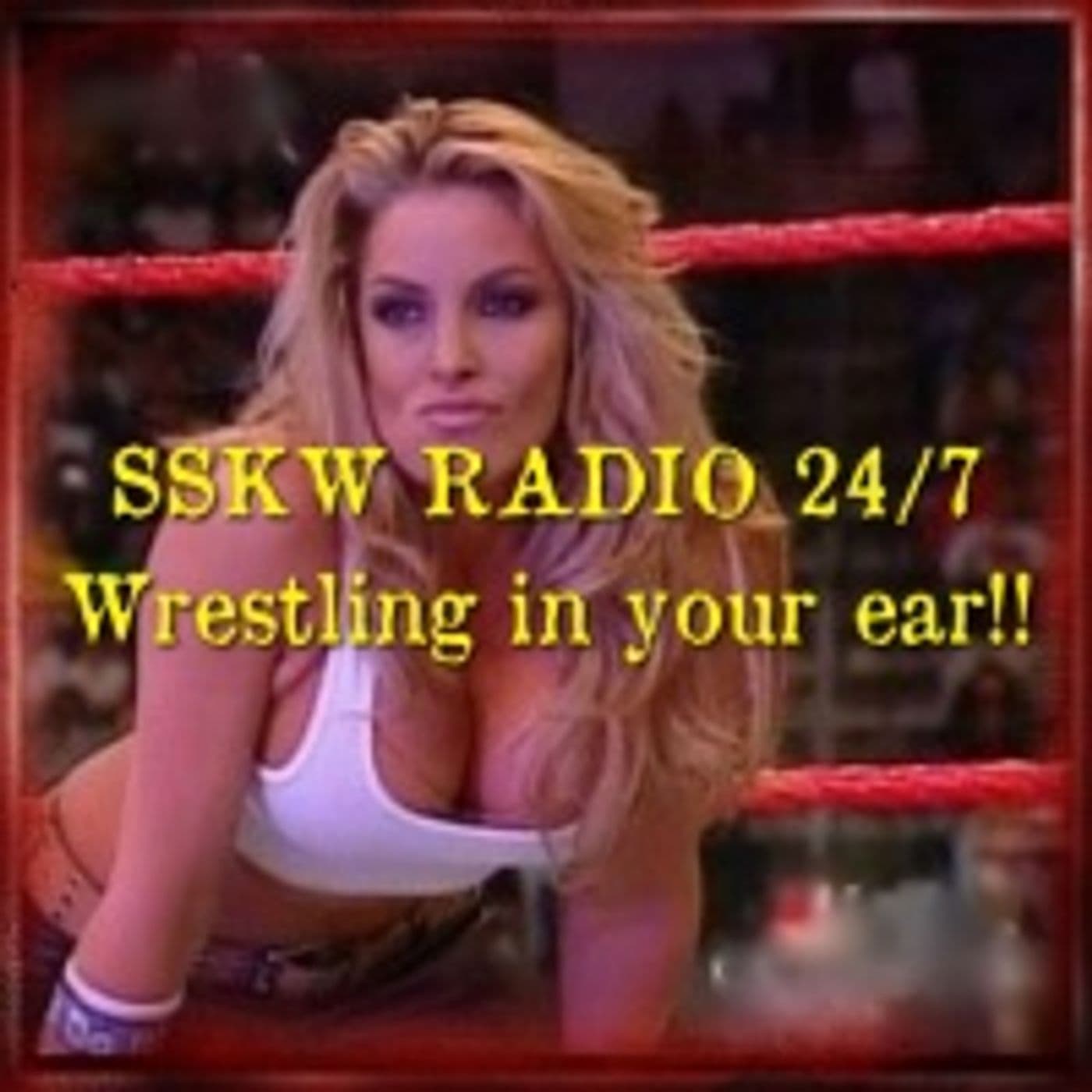 Smarks Seriously Know Wrestling RADIO - Podcasts